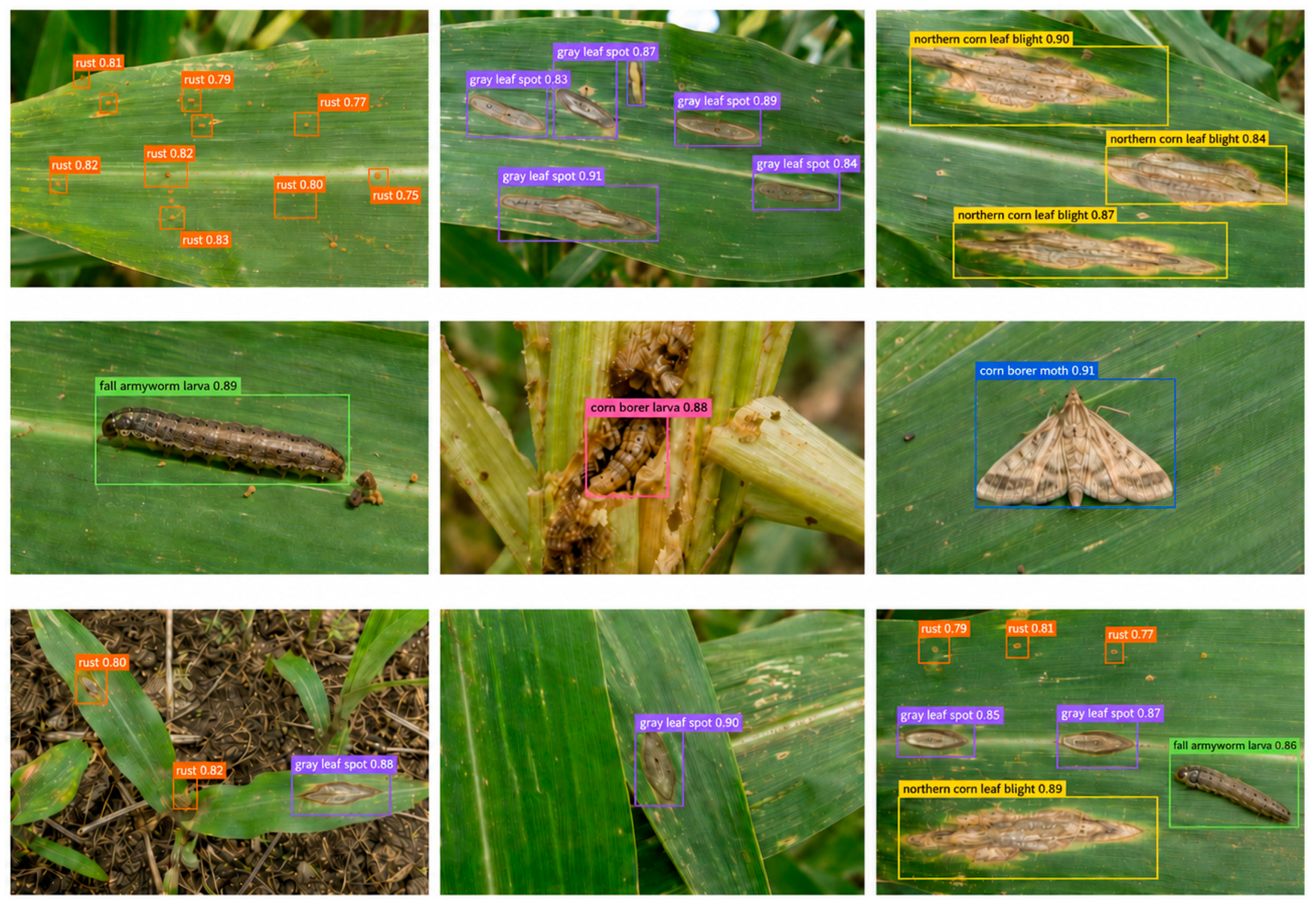 Agriculture 16 01415 g006 Agriculture 16 01415 g006