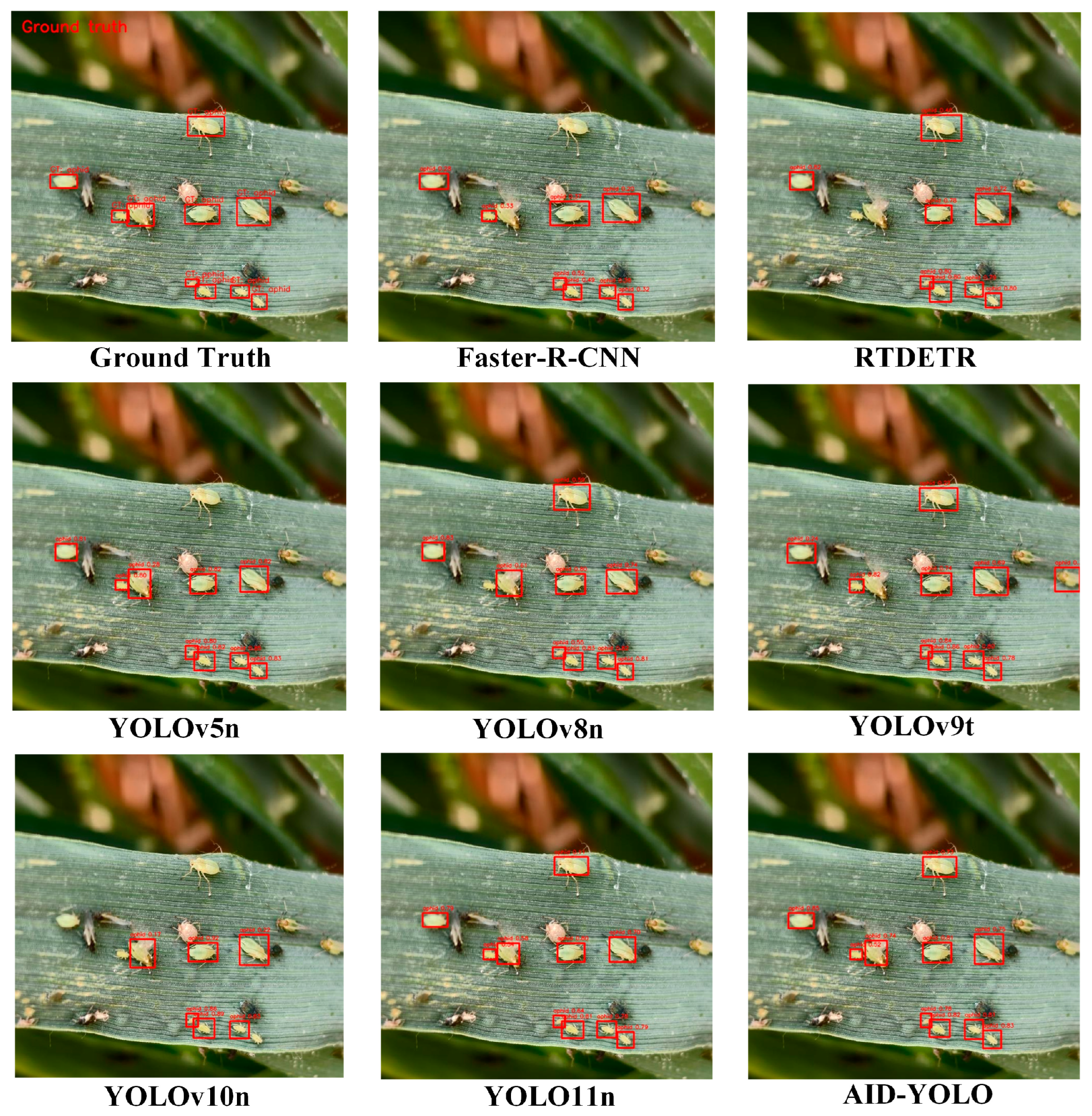 Agriculture 16 01456 g013 Agriculture 16 01456 g013
