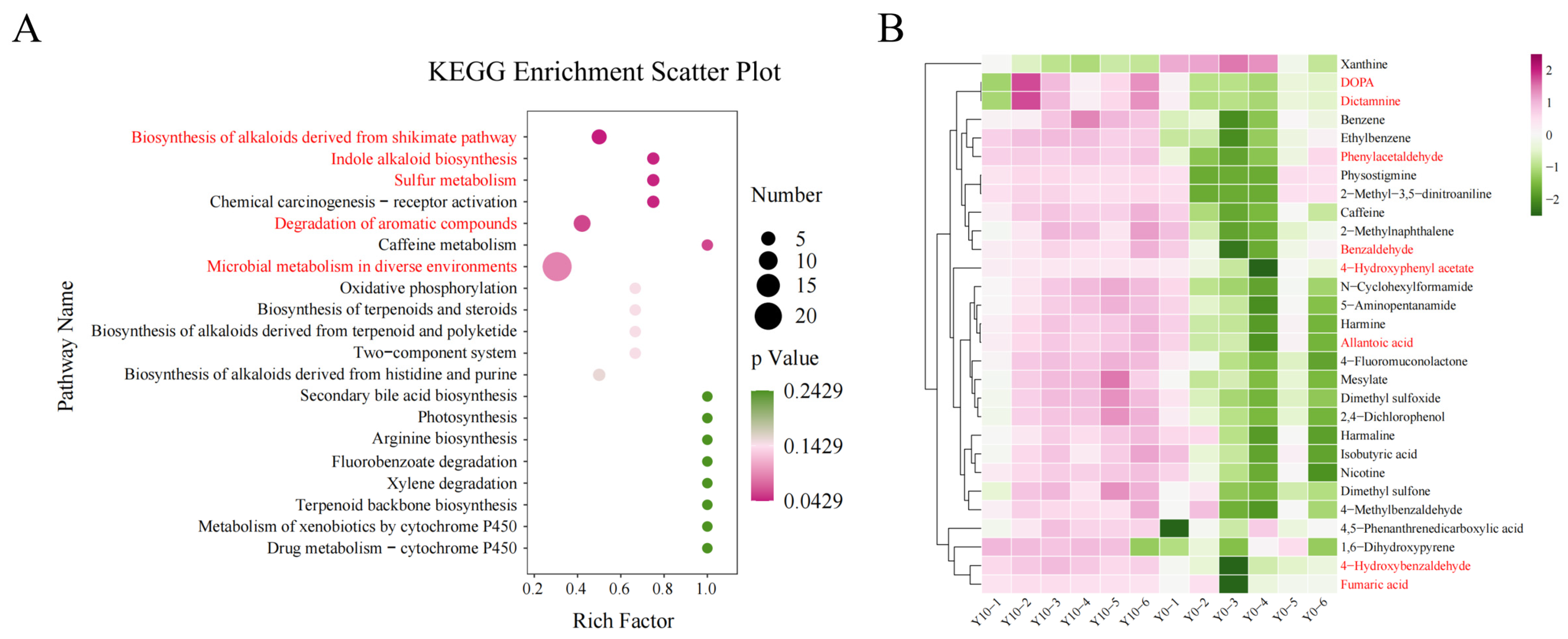 Long-Term Pepper (Capsicum annuum L.) Monoculture Reshapes Rhizosphere ...