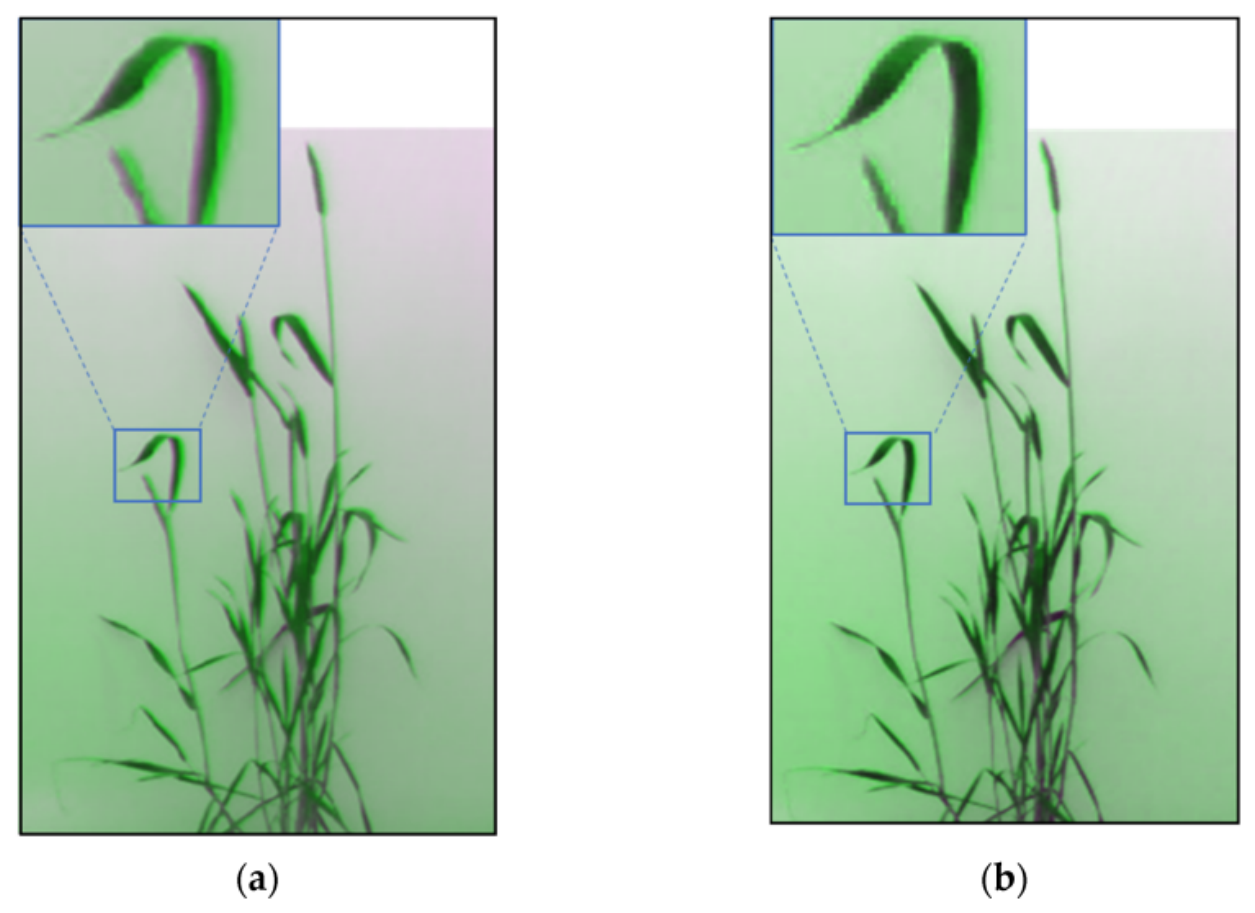Agriculture 16 02001 g003 Agriculture 16 02001 g003