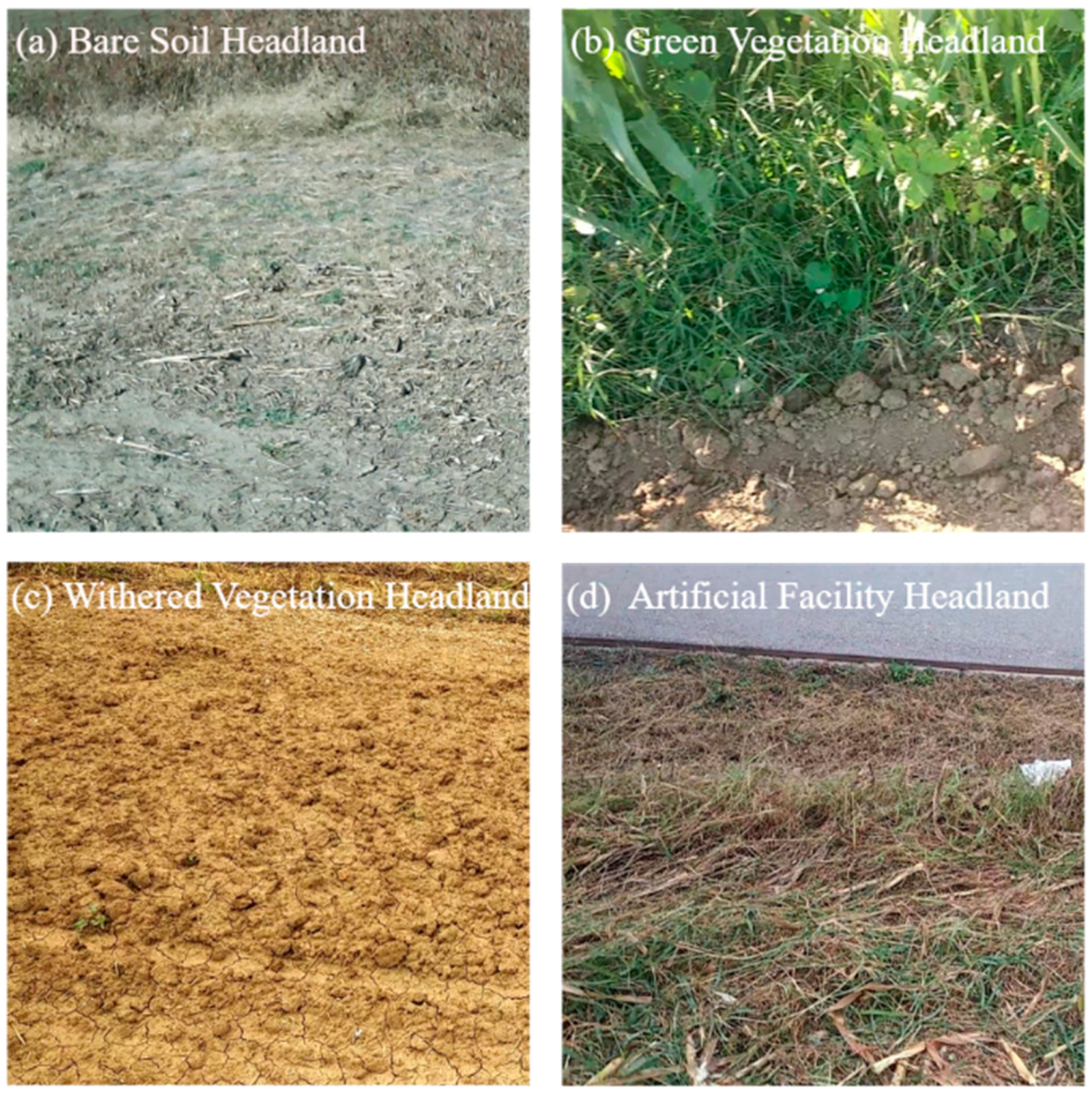 Agriculture 16 02016 g002 Agriculture 16 02016 g002