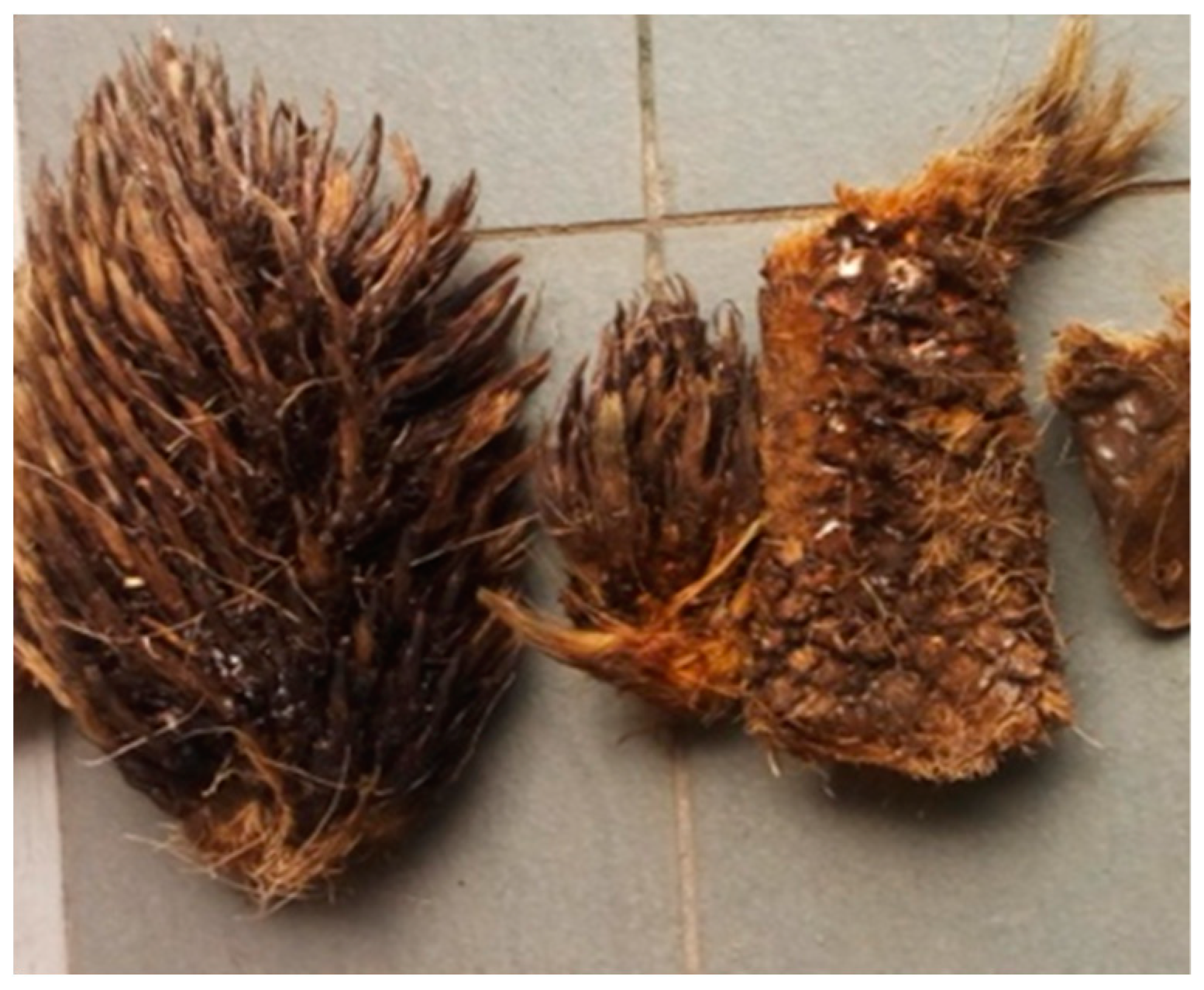 Agriengineering 01 00012 g001