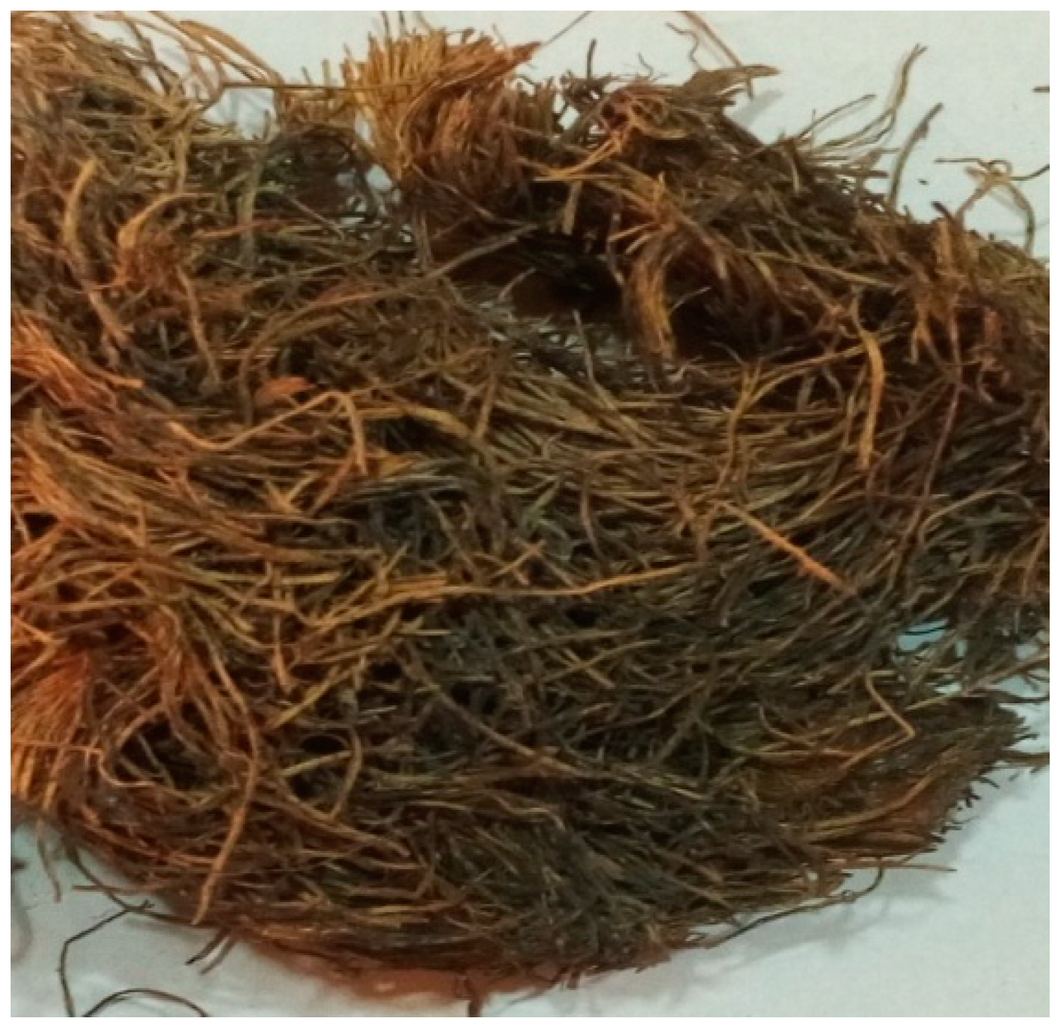 Agriengineering 01 00012 g002