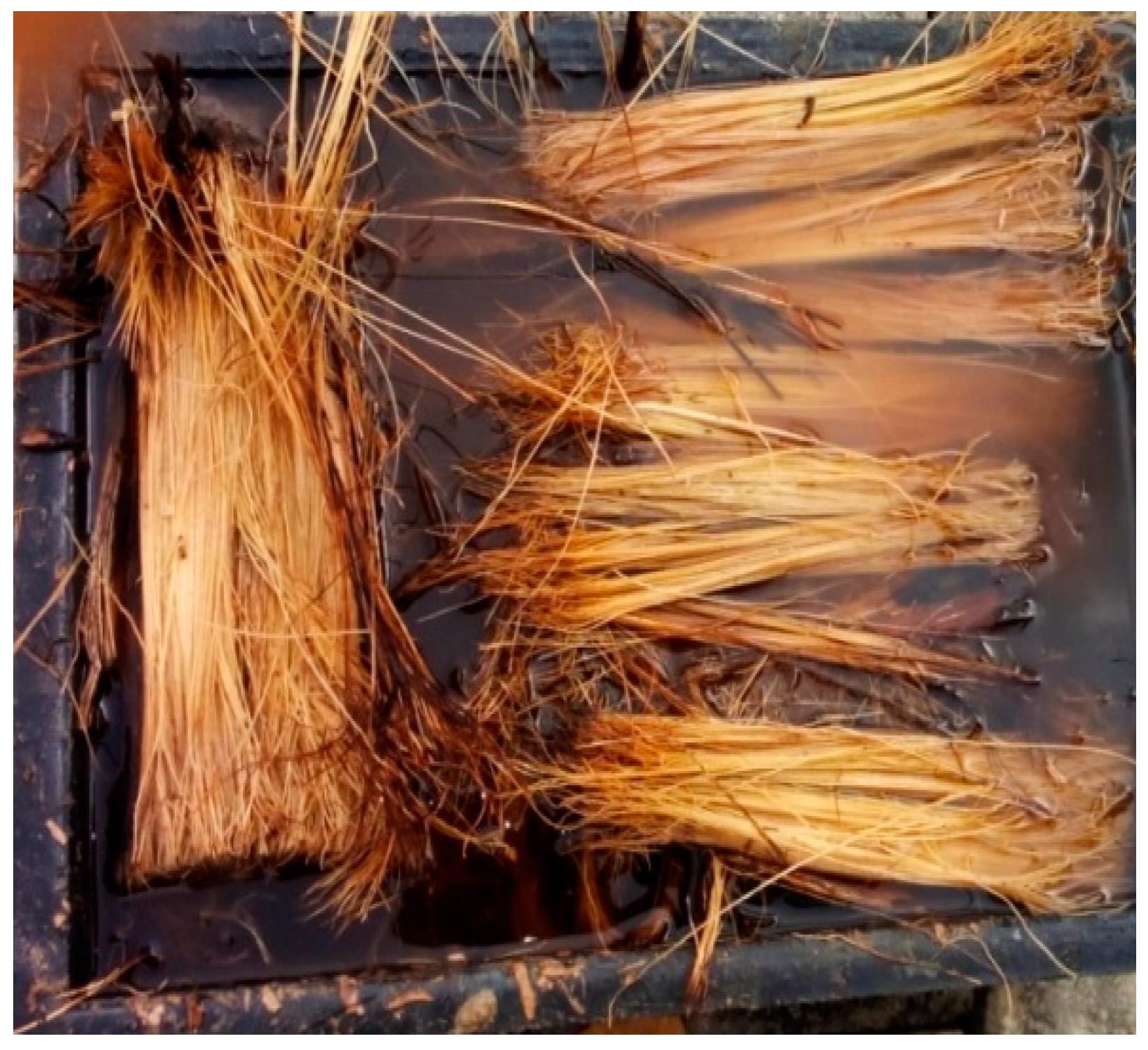 Agriengineering 01 00012 g003