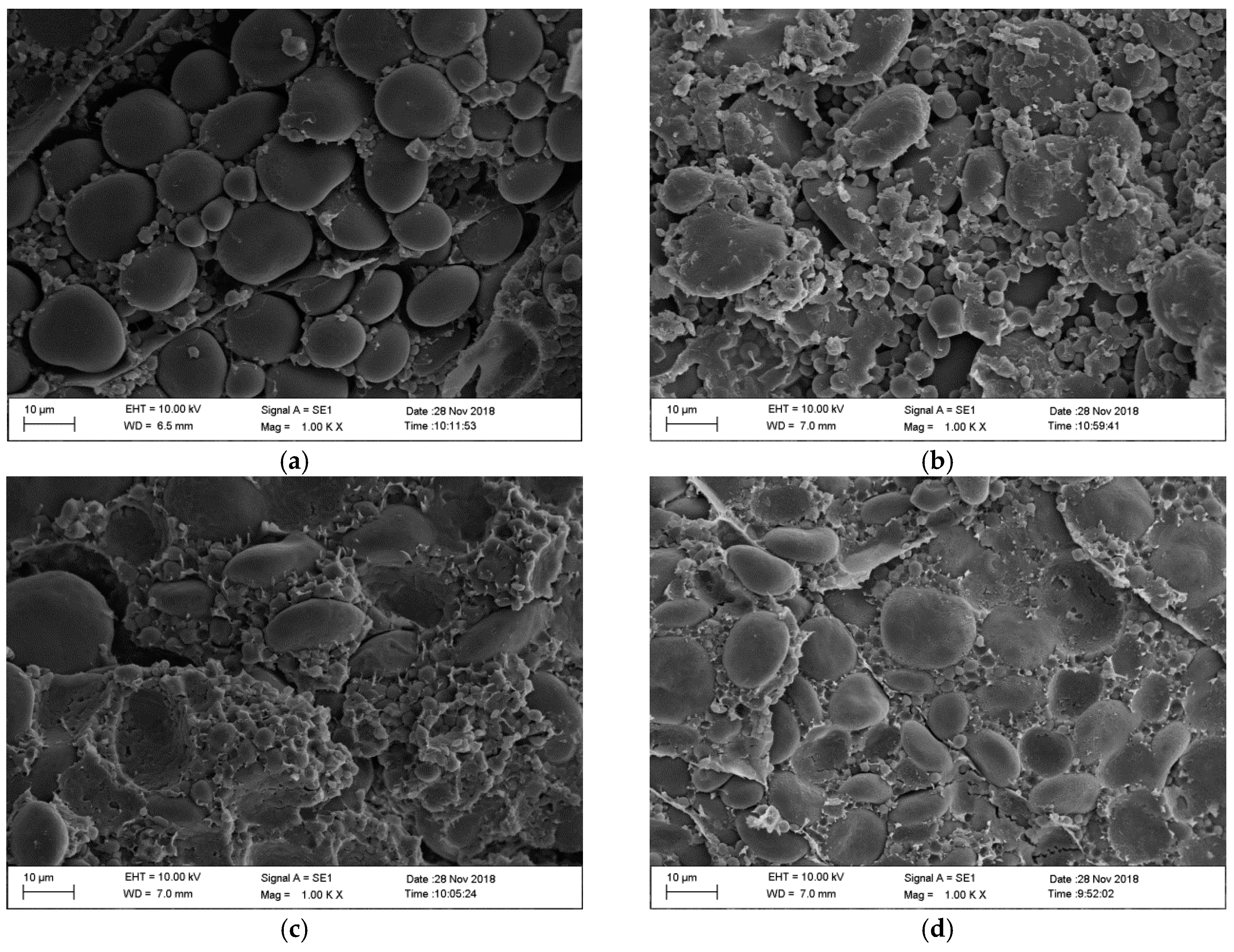 Agriengineering 01 00036 g005