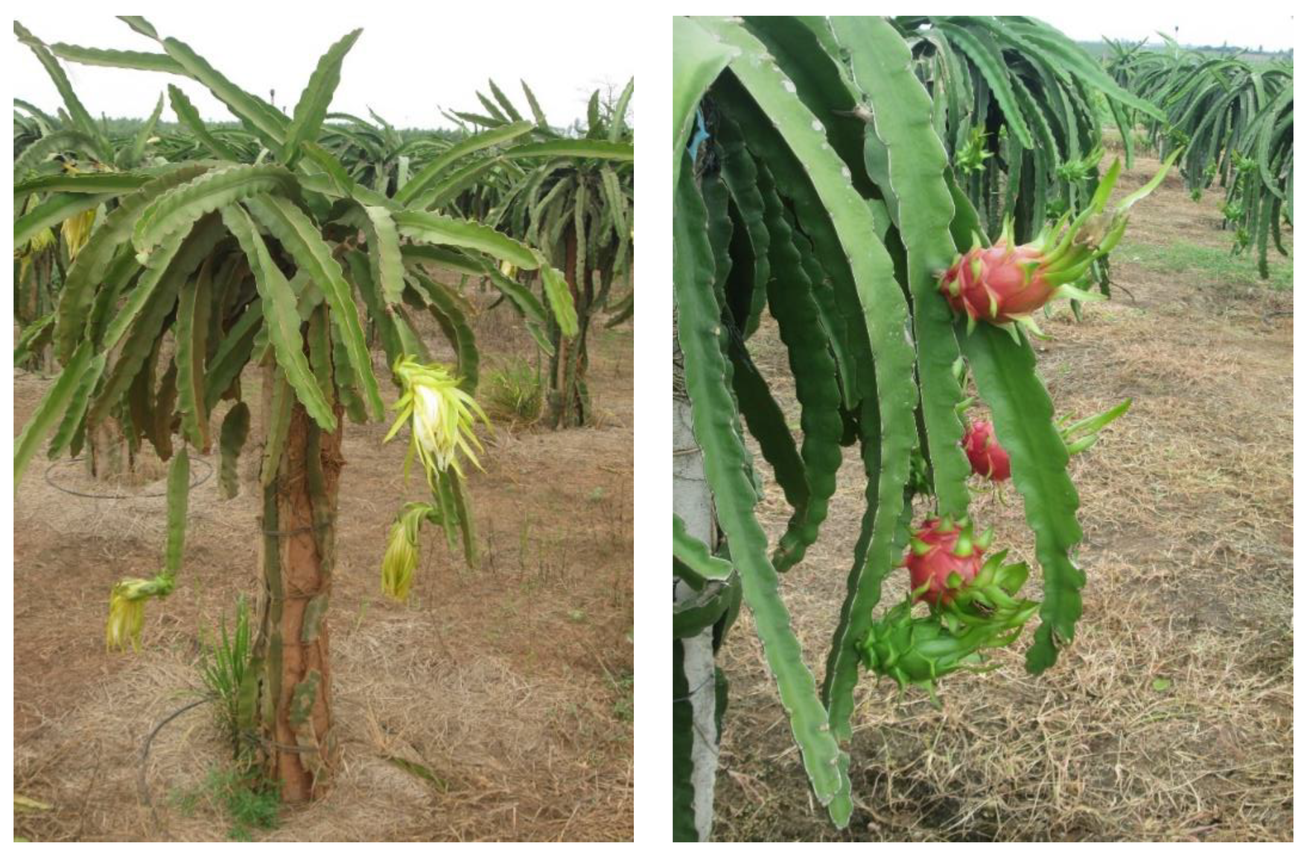 Agriengineering 02 00001 g001