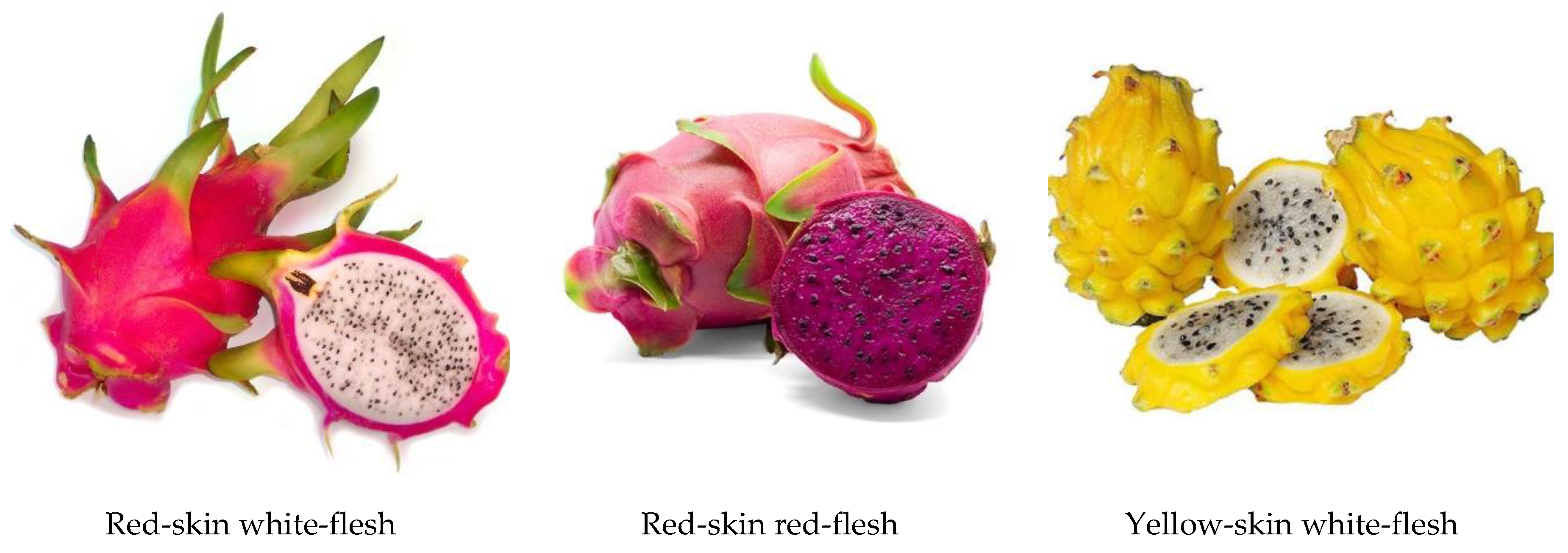 Agriengineering 02 00001 g004