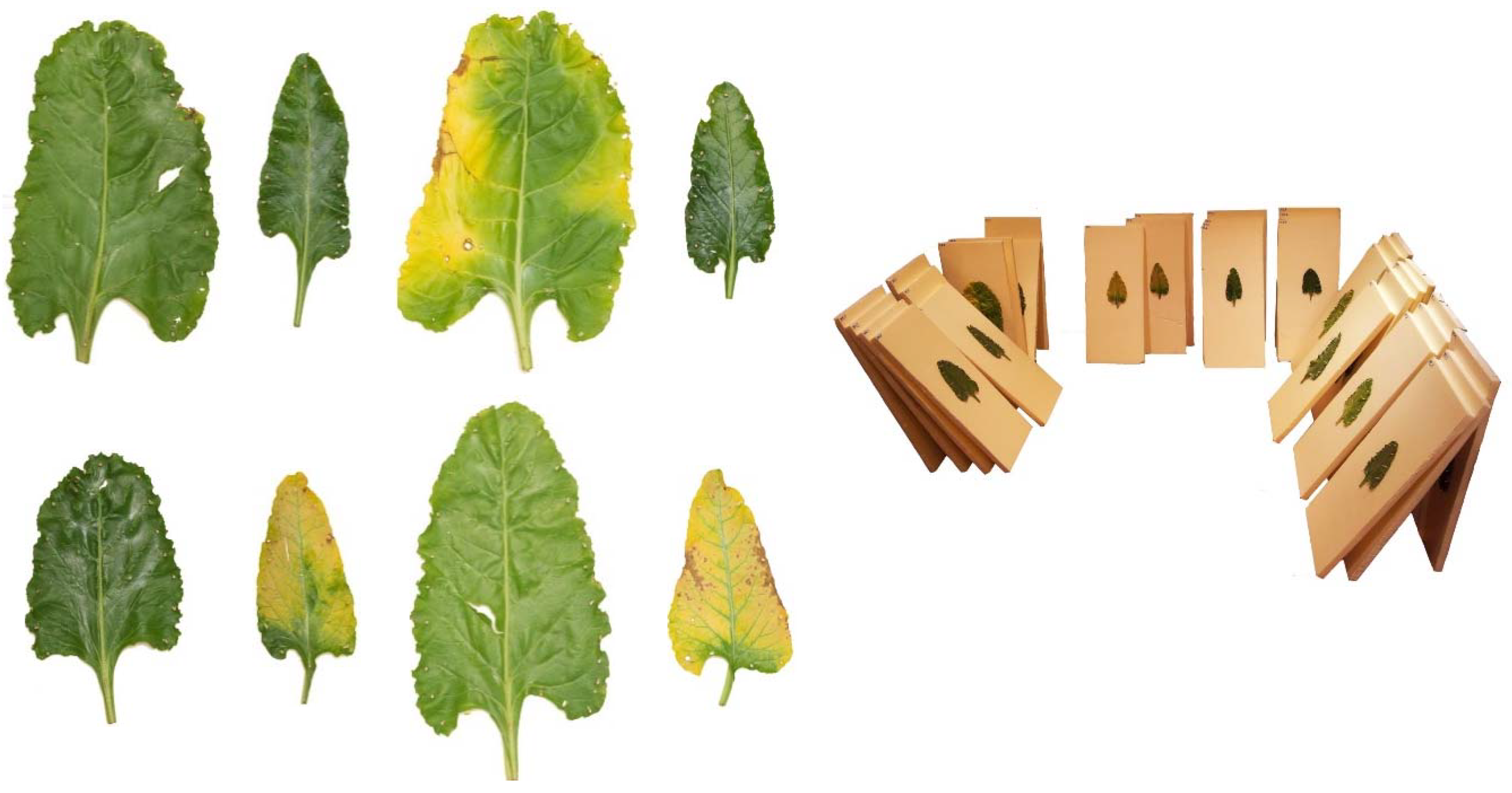 Agriengineering 02 00009 g001