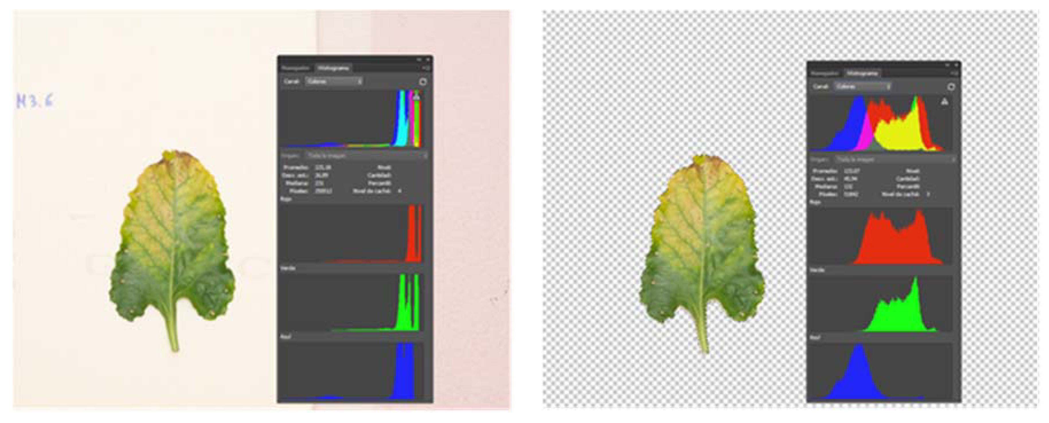 Agriengineering 02 00009 g002