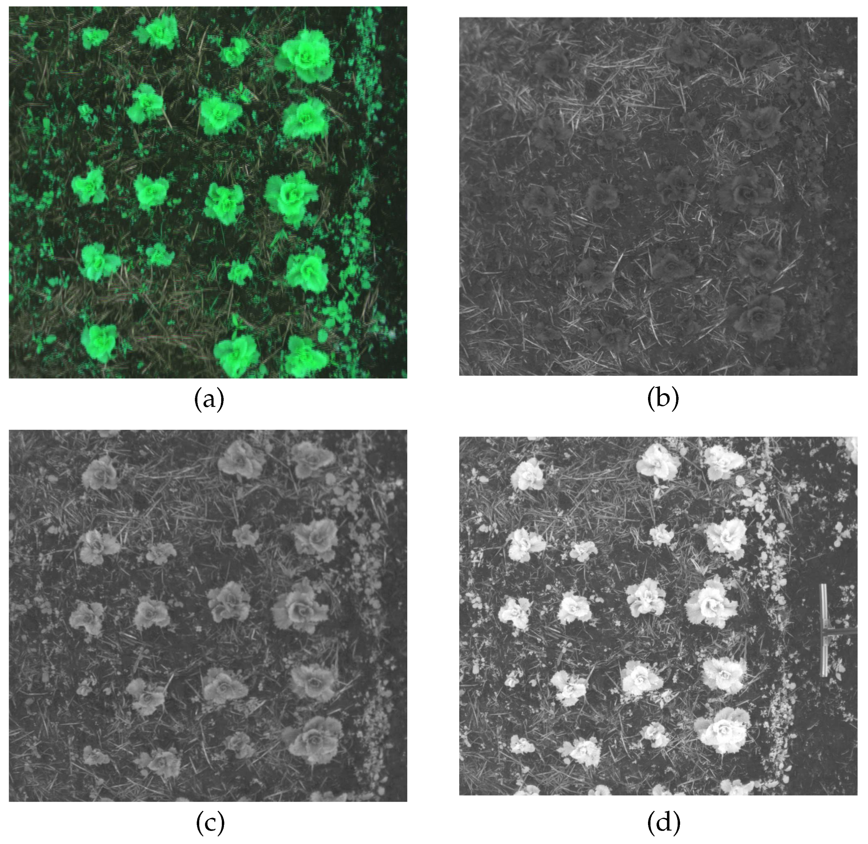 Agriengineering 02 00032 g002
