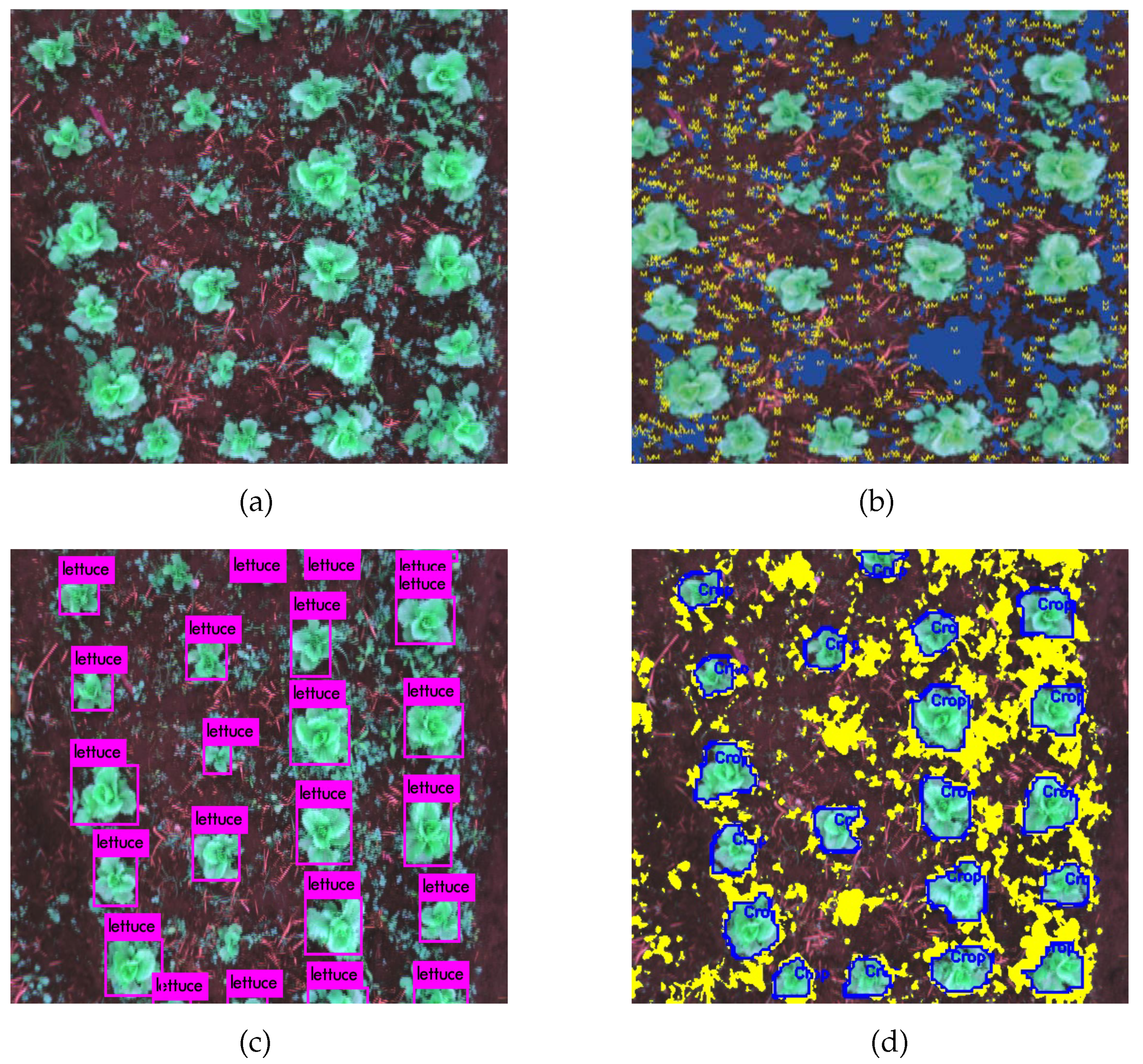 Agriengineering 02 00032 g004