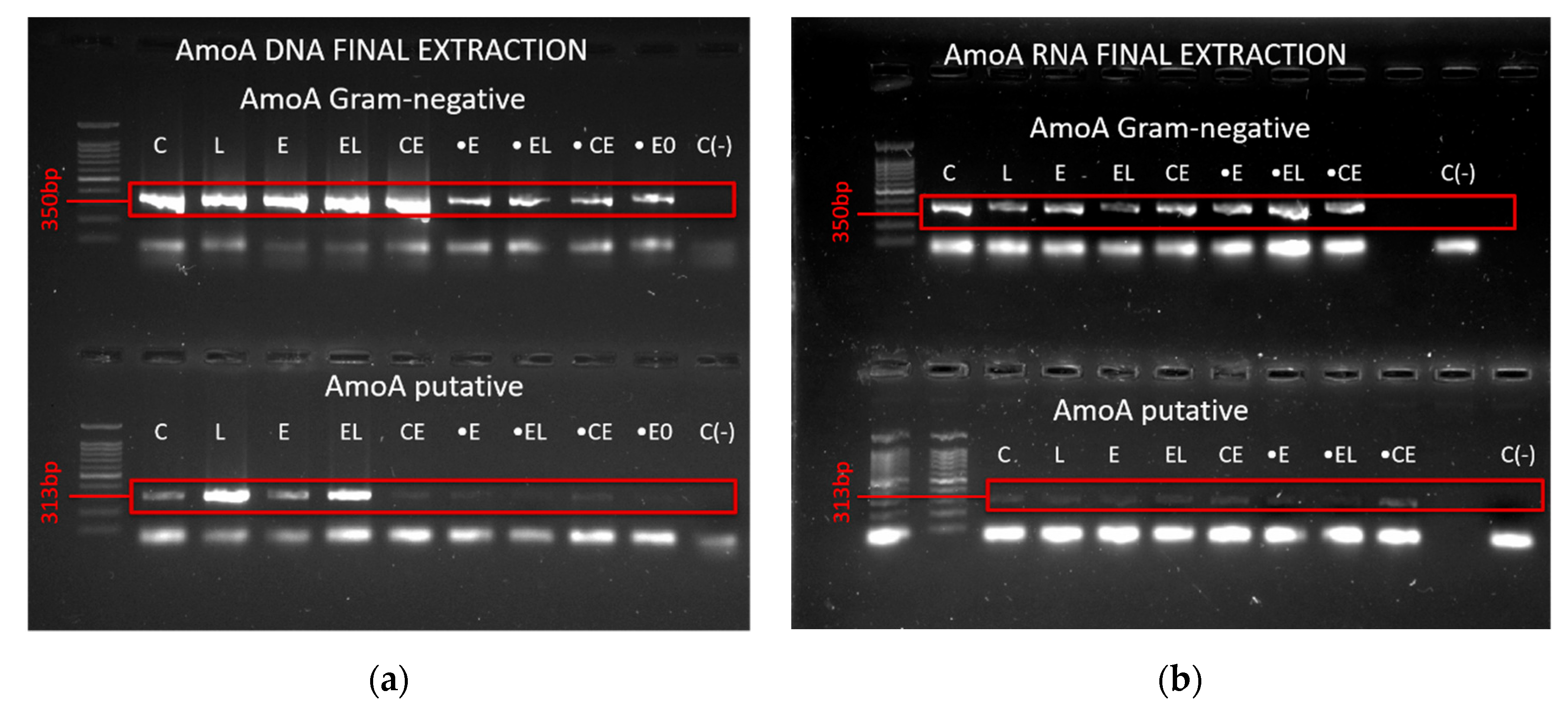 Agriengineering 02 00036 g006