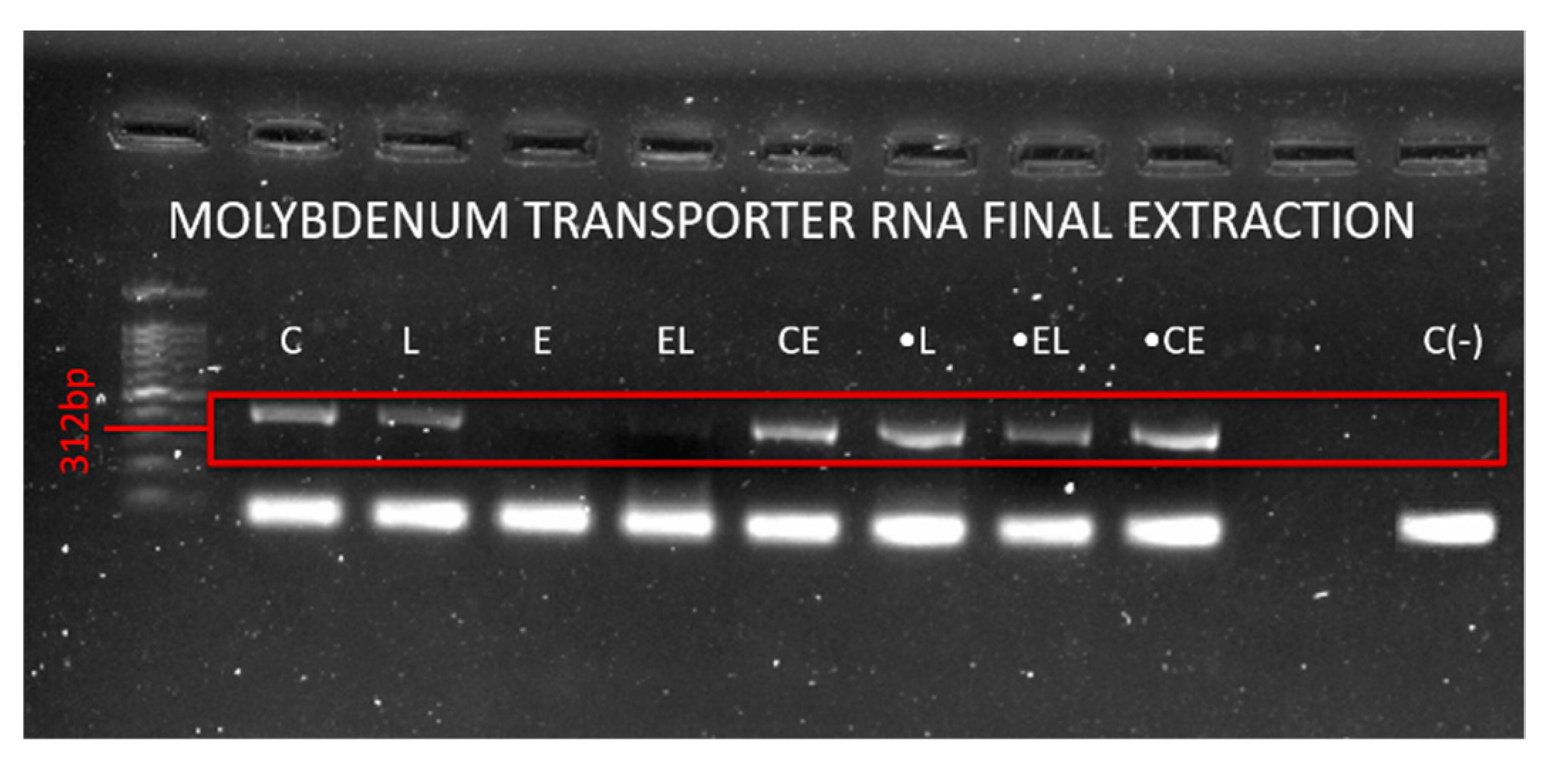 Agriengineering 02 00036 g007