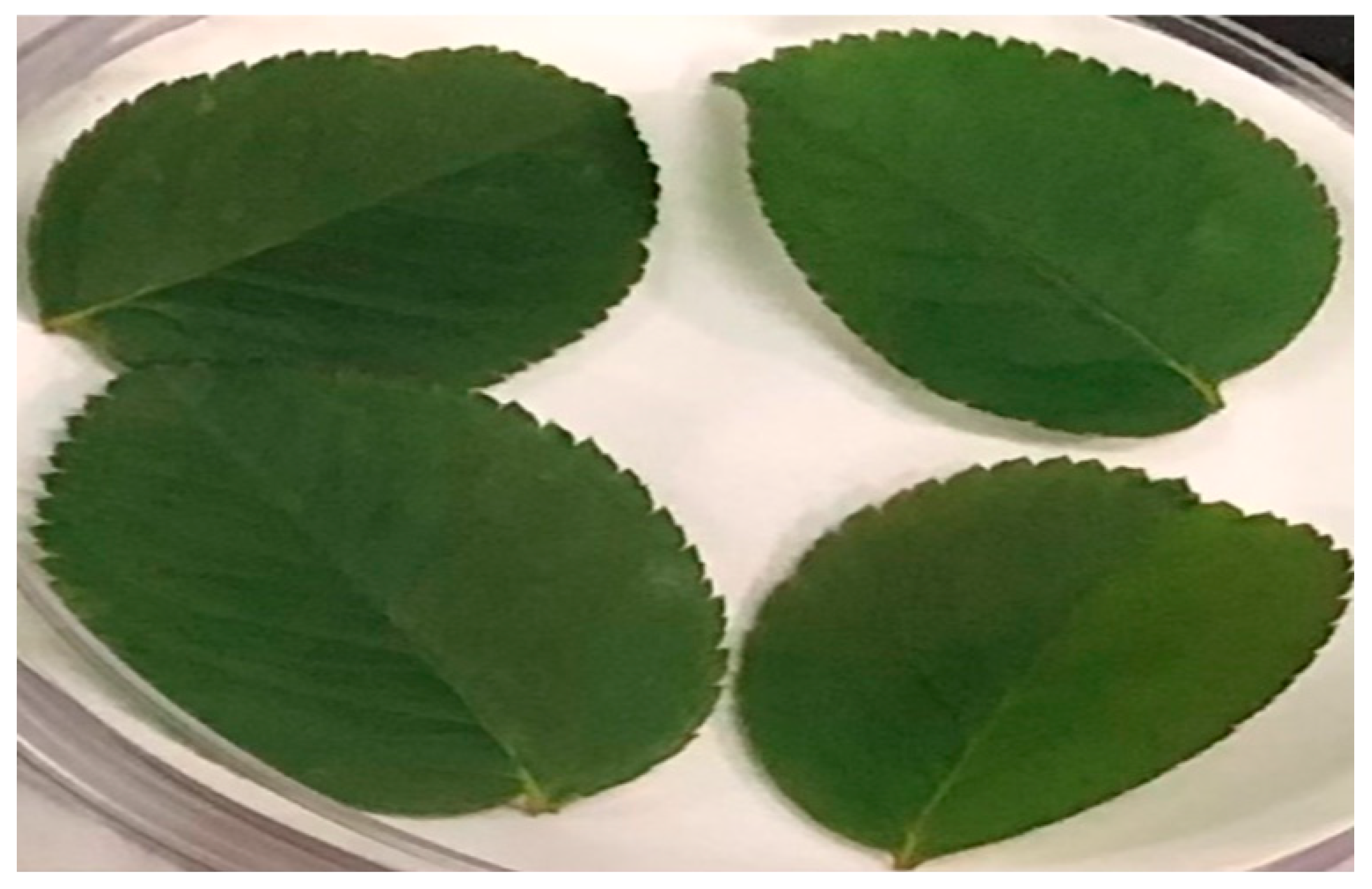 Agriengineering 02 00037 g002