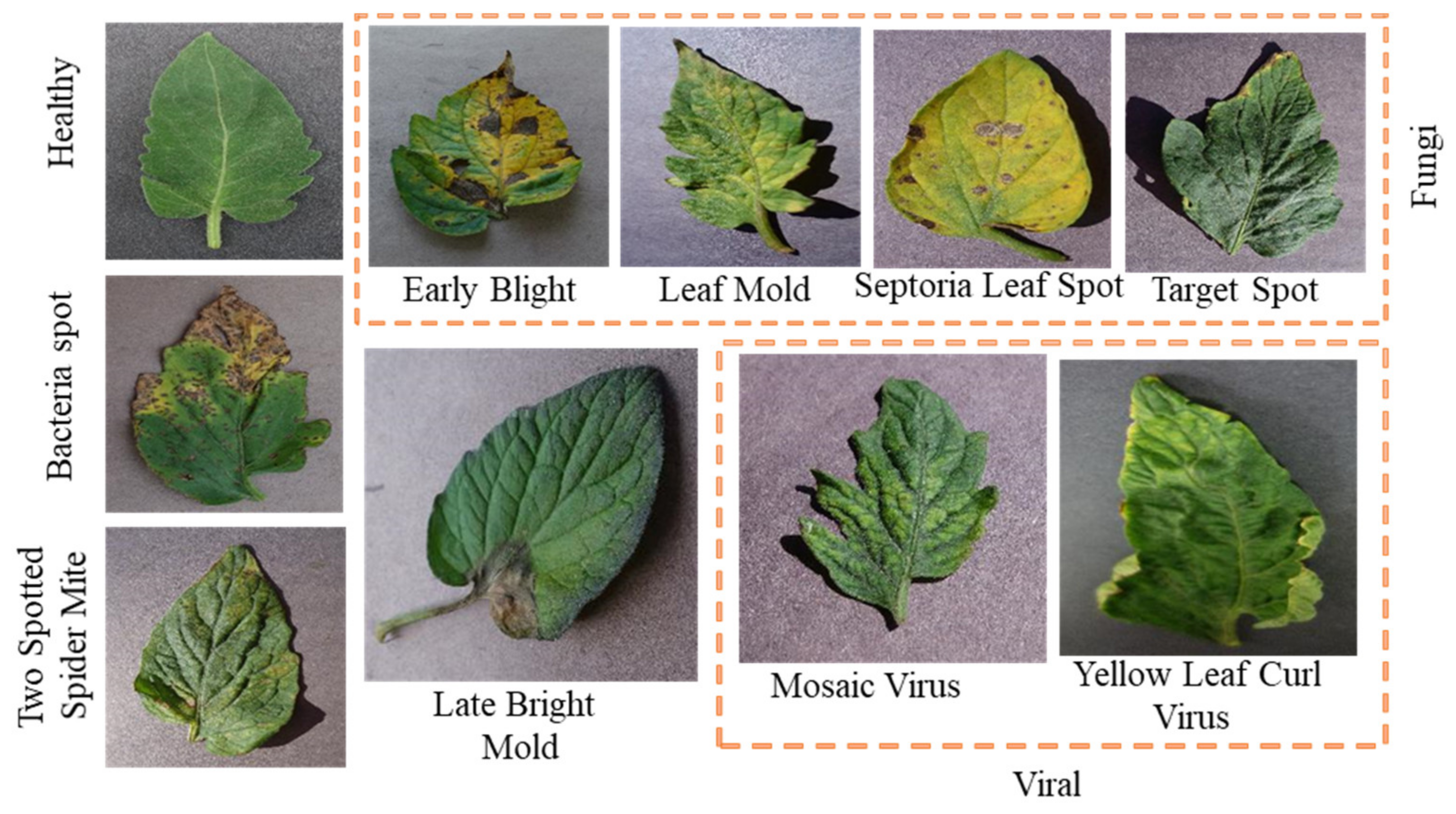 Agriengineering 03 00020 g004