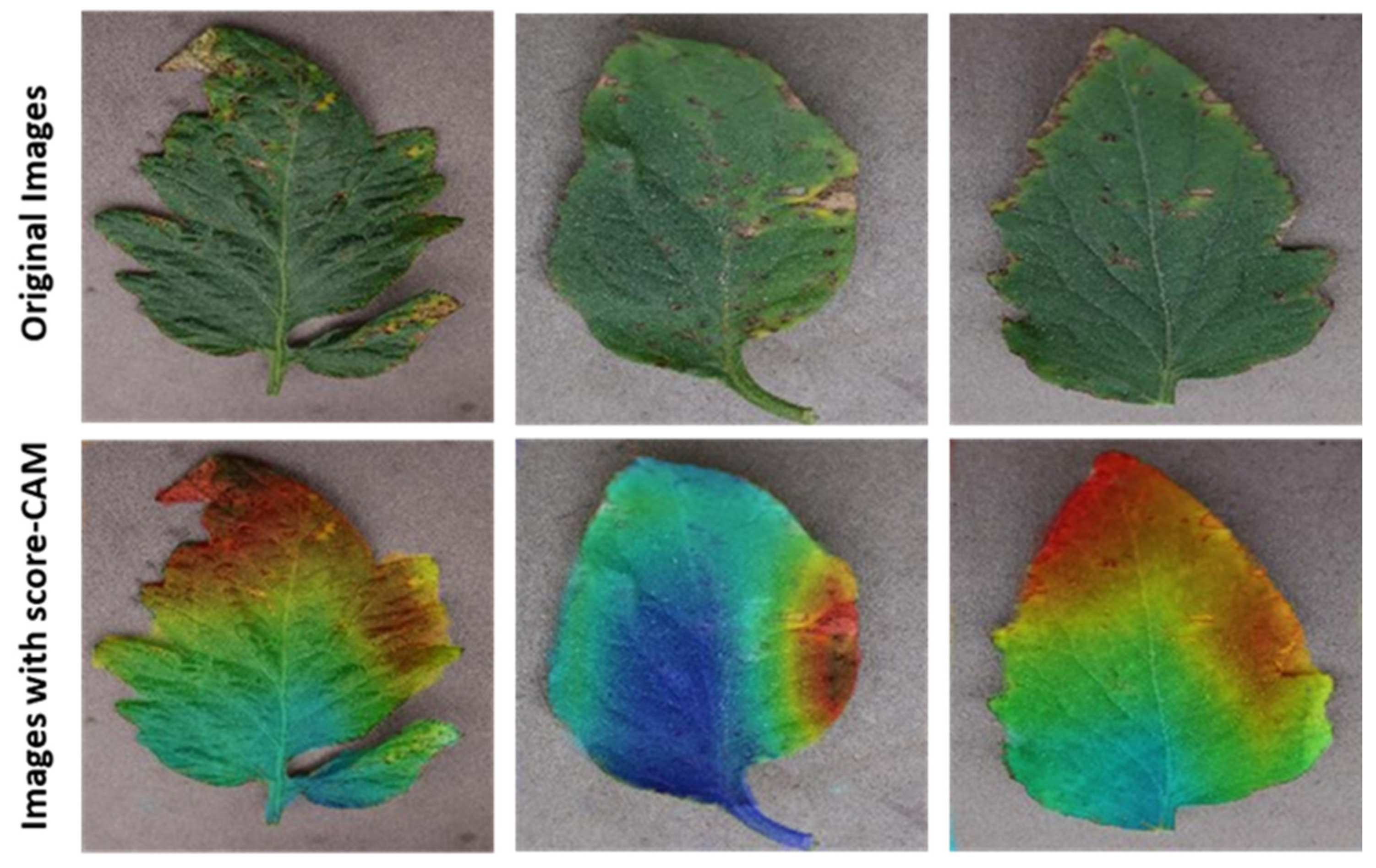 Agriengineering 03 00020 g008