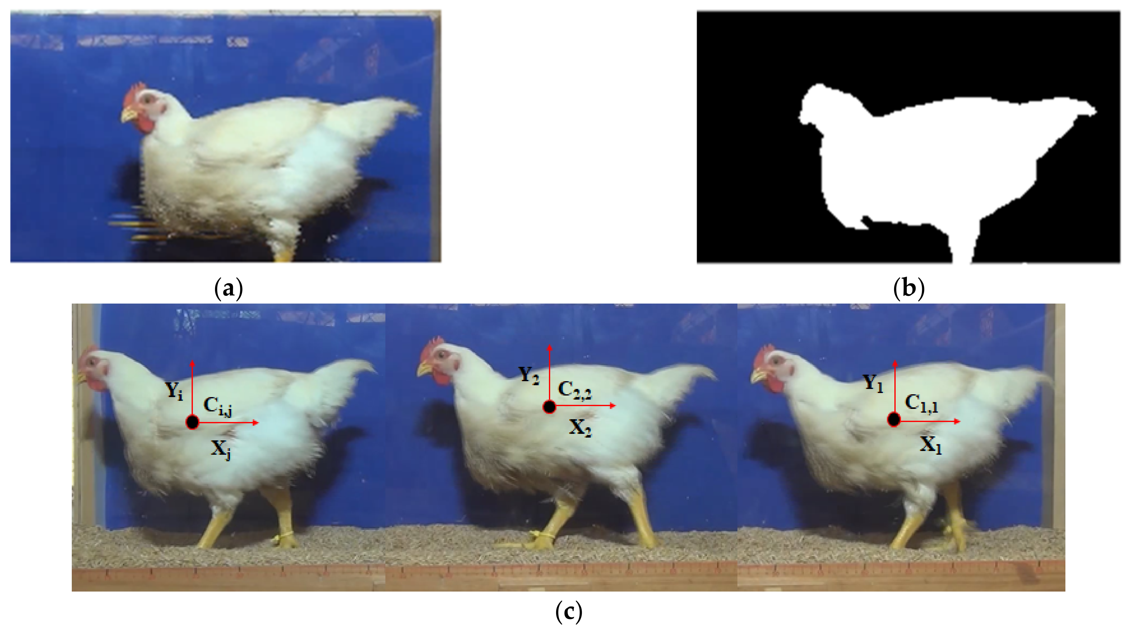 Agriengineering 03 00026 g002