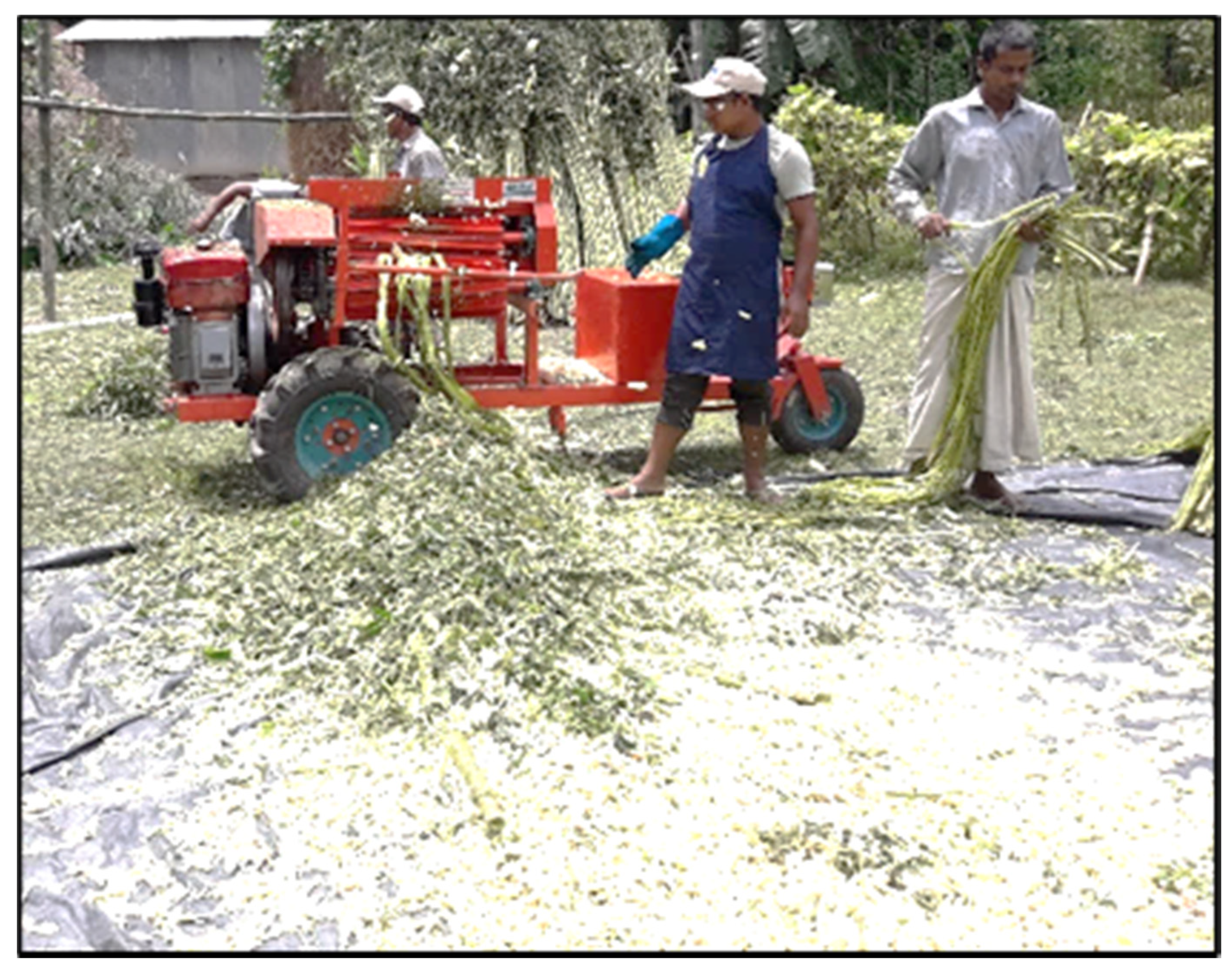 Agriengineering 03 00027 g011