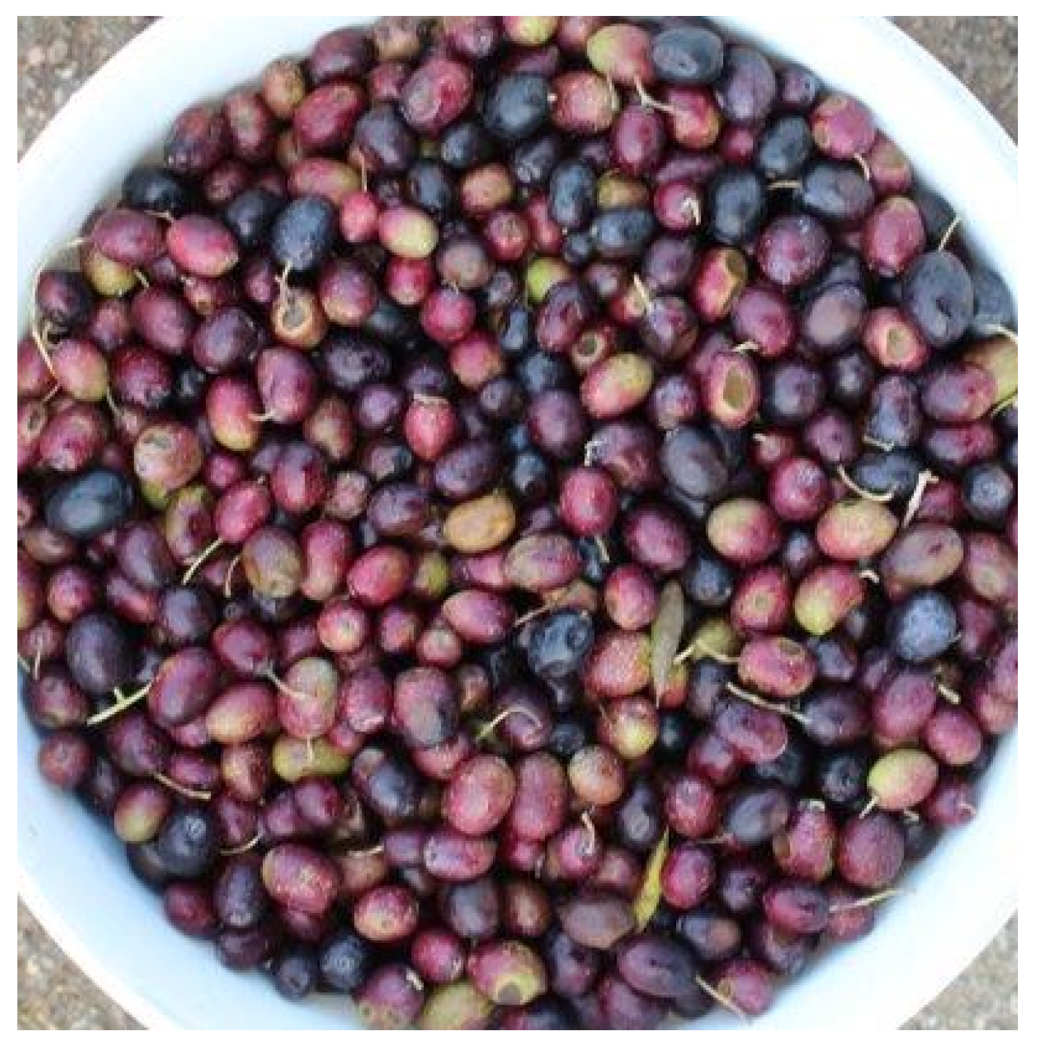 Agriengineering 03 00040 g002