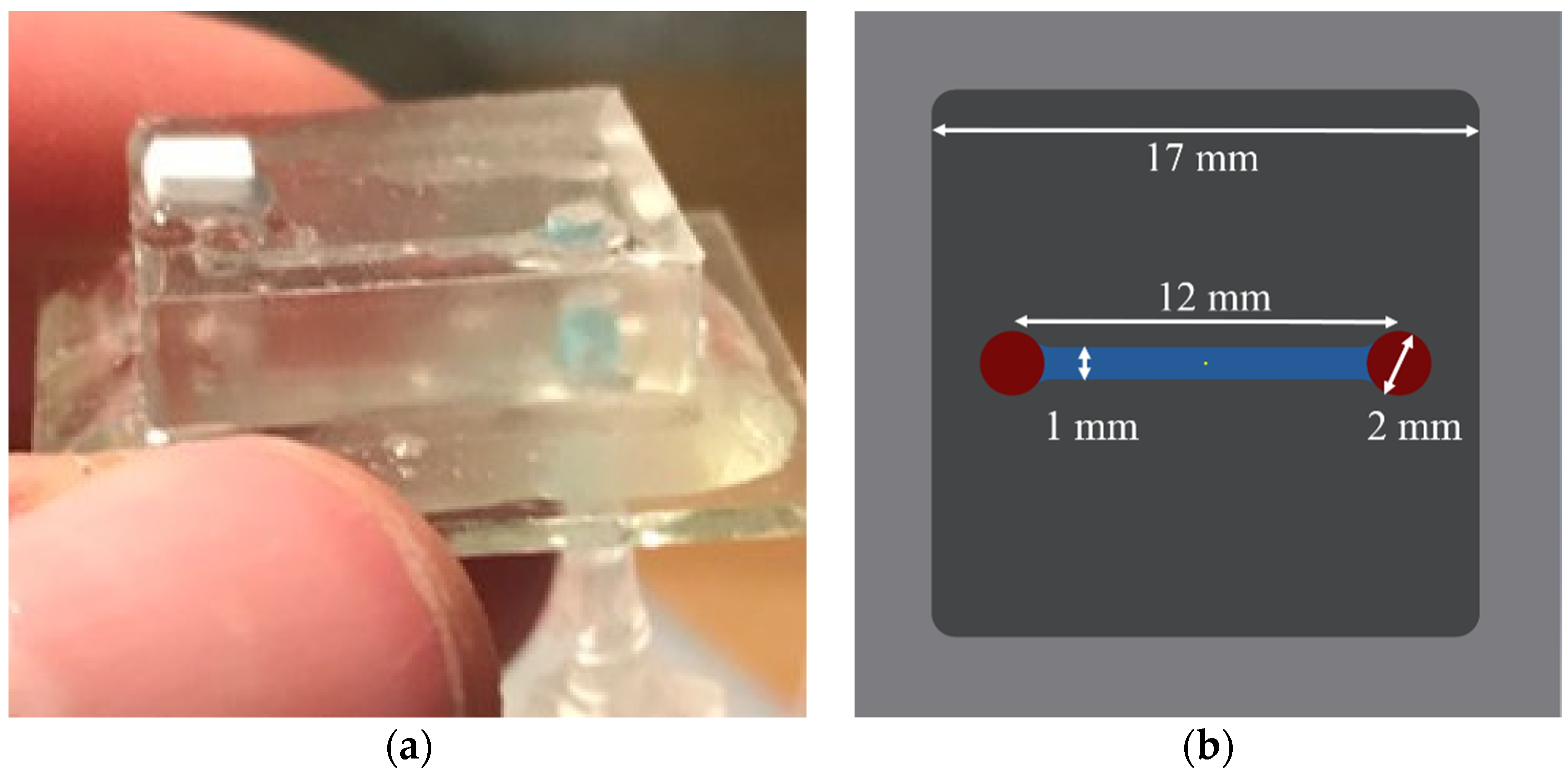 Agriengineering 03 00049 g003a