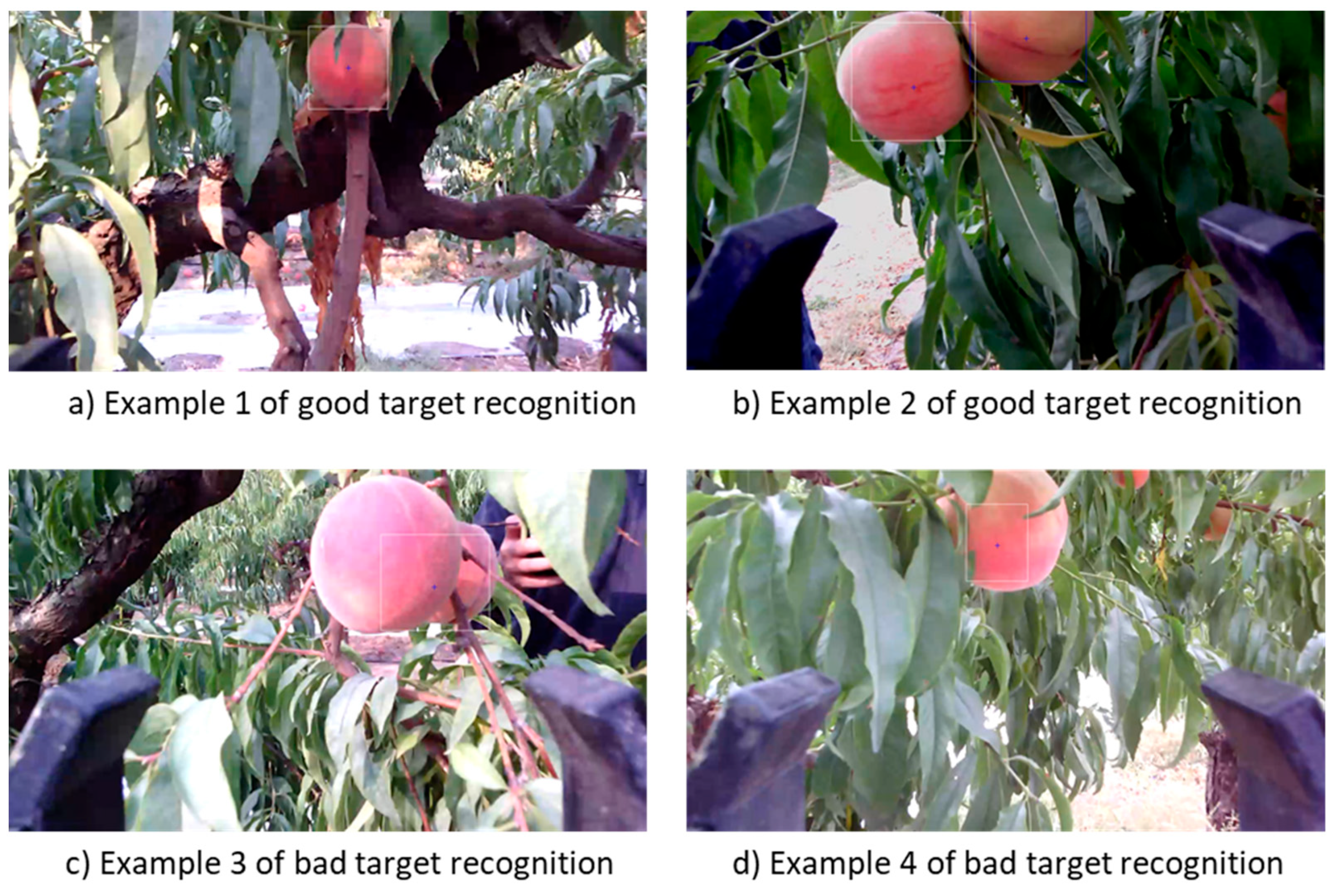 Agriengineering 03 00053 g009