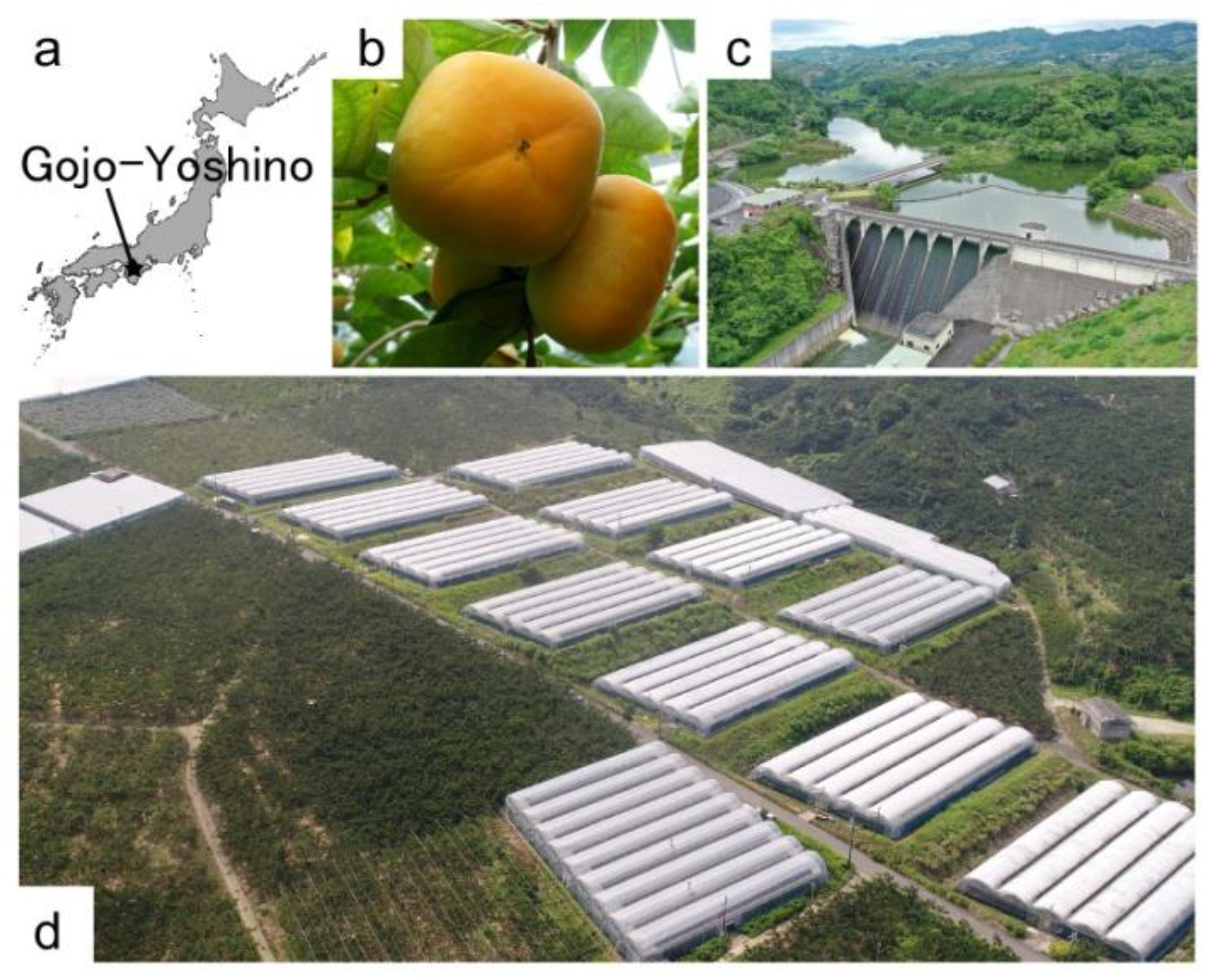 Agriengineering 04 00002 g001 Agriengineering 04 00002 g001