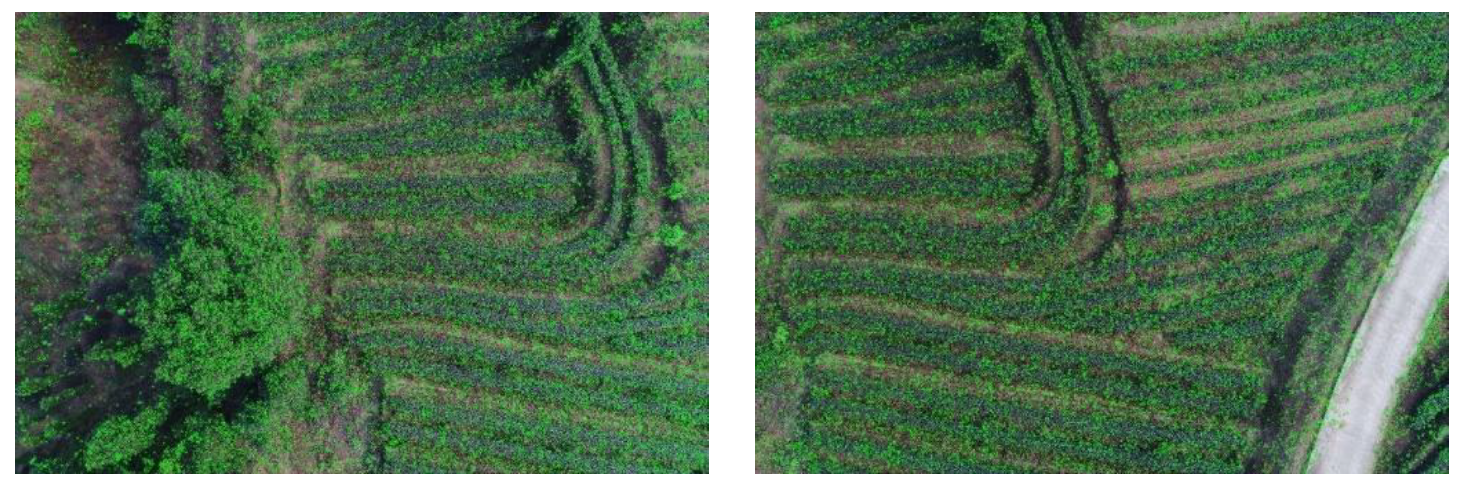 Agriengineering 04 00017 g006