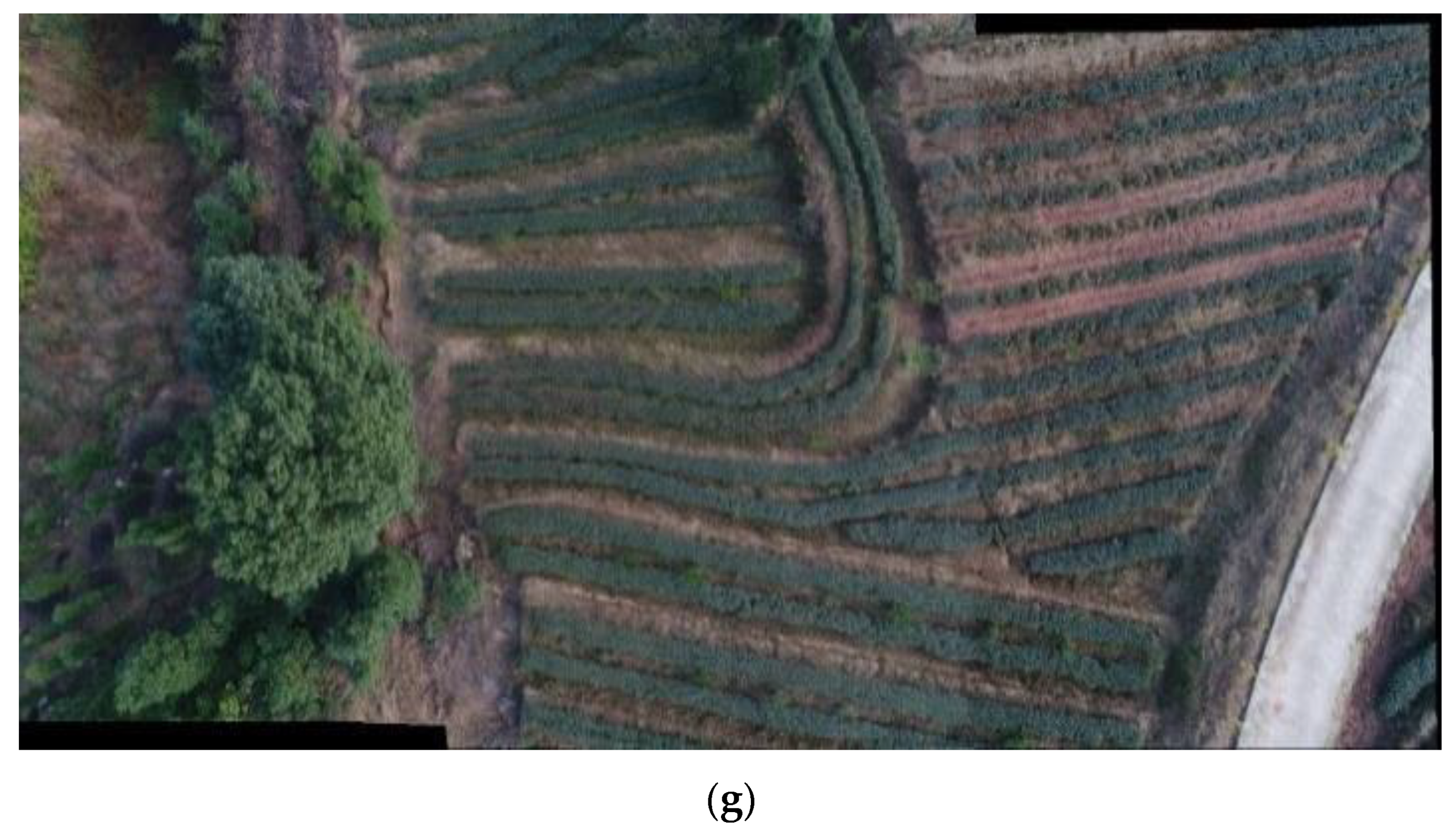 Agriengineering 04 00017 g008b