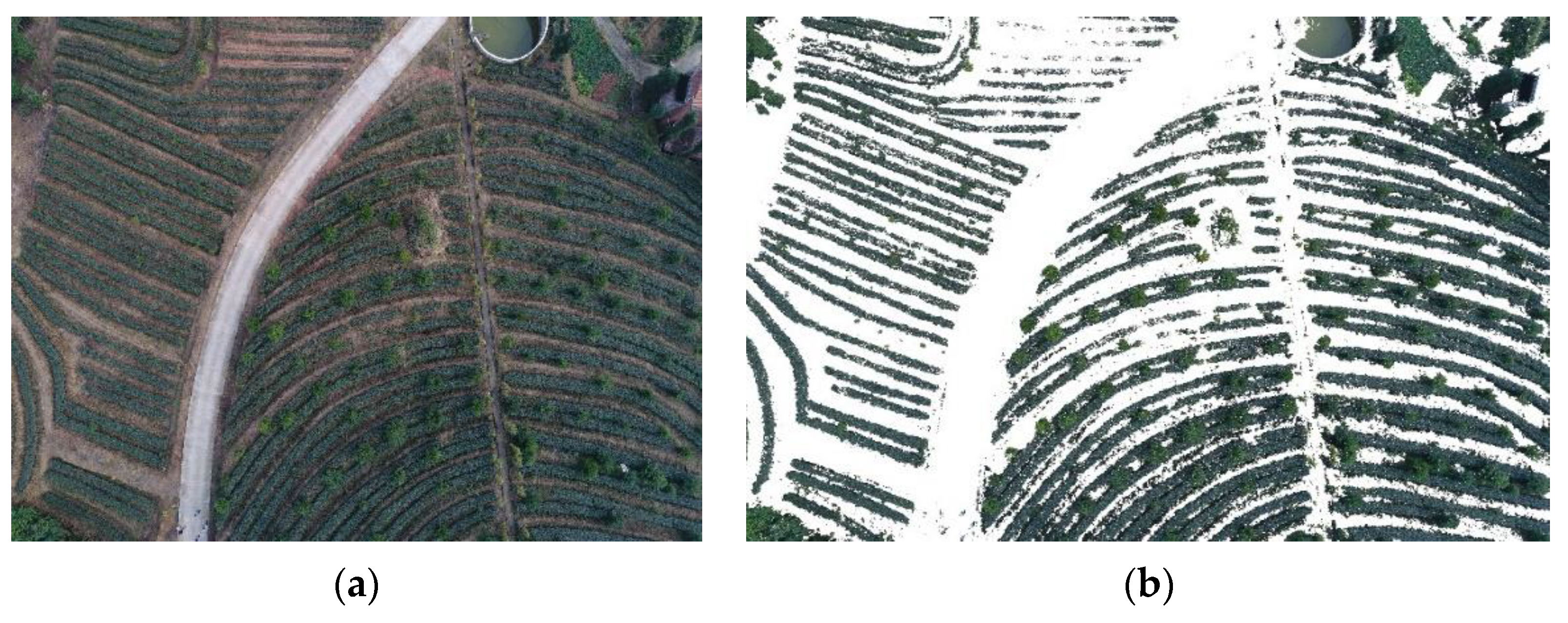 Agriengineering 04 00017 g011