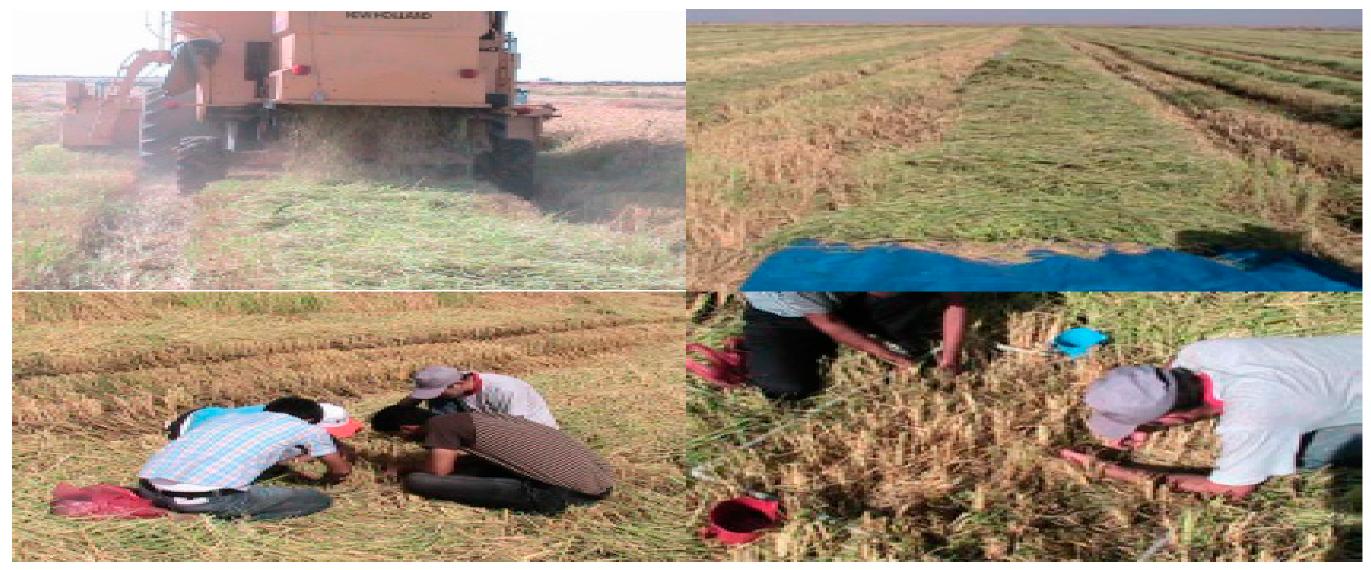 Agriengineering 04 00020 g005