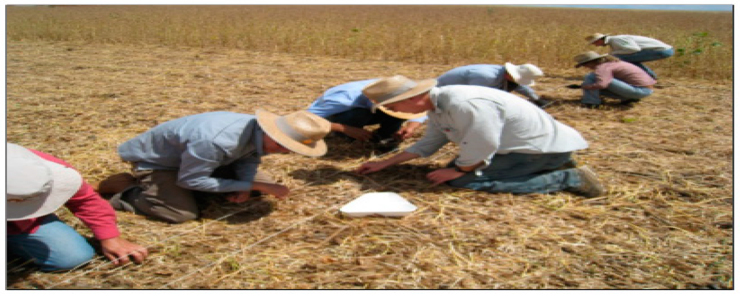 Agriengineering 04 00020 g008