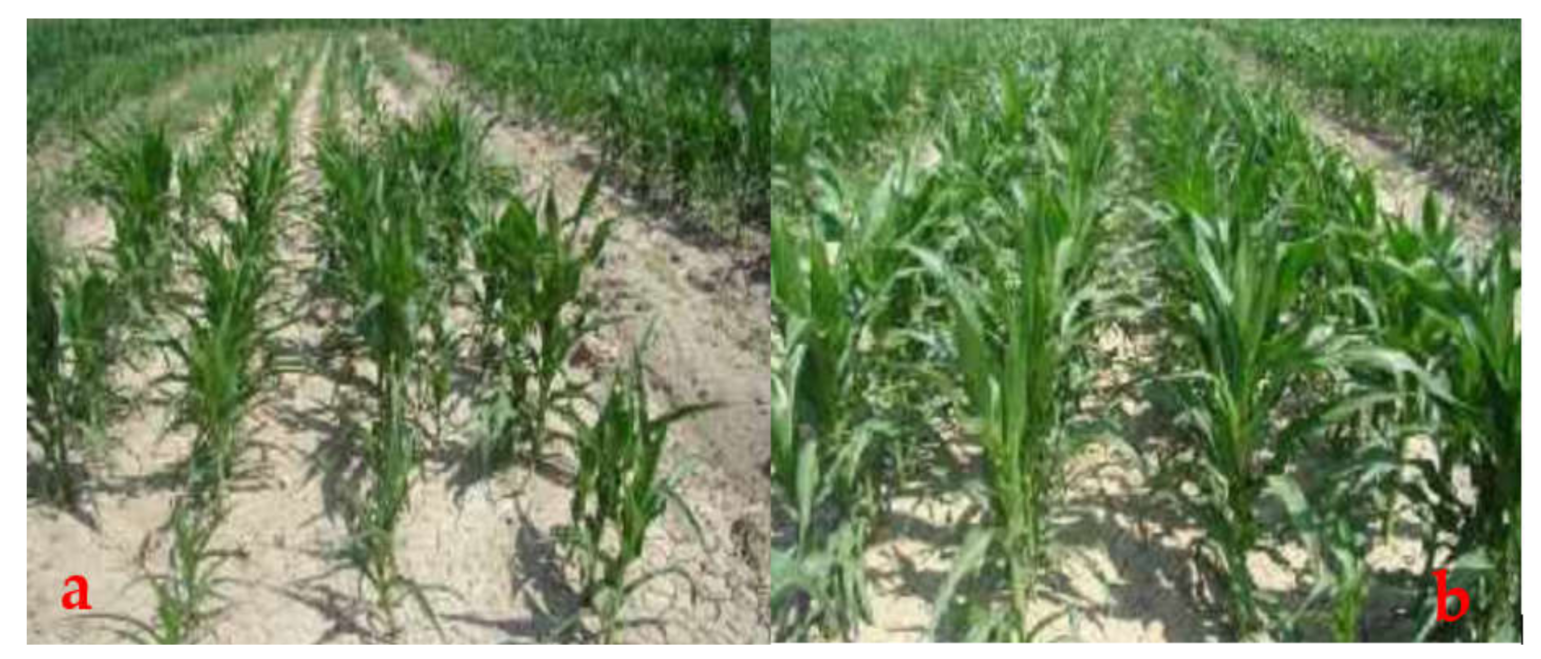 Agriengineering 04 00023 g004