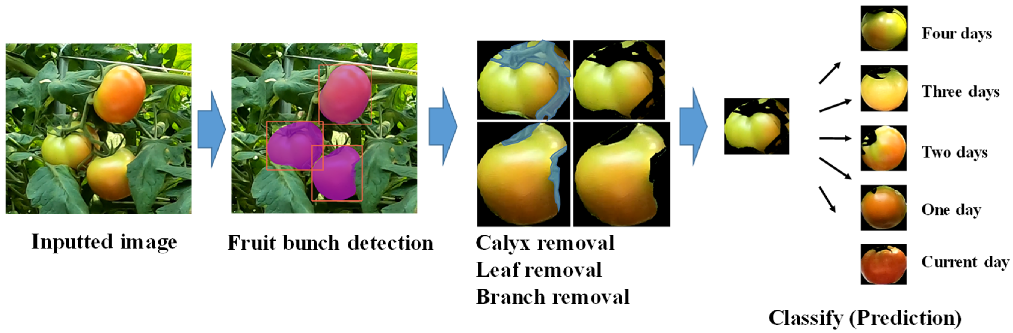 Agriengineering 04 00024 g001