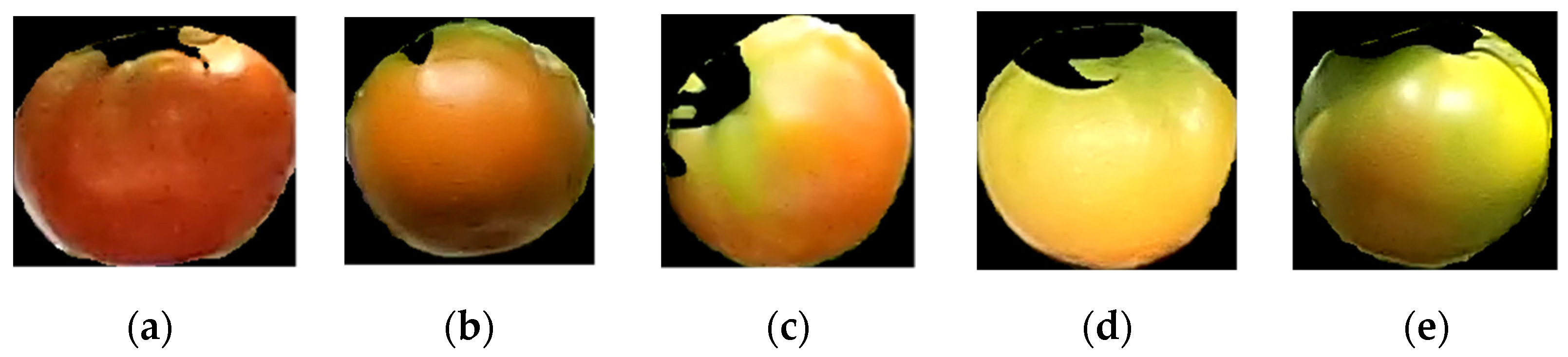 Agriengineering 04 00024 g004