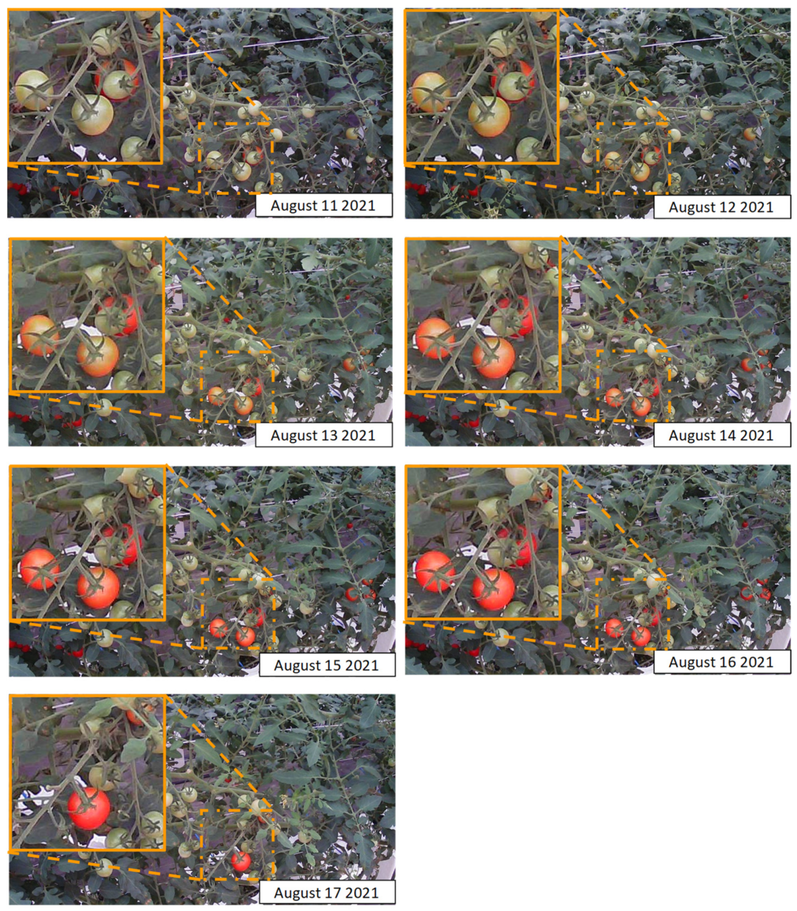 Agriengineering 04 00024 g005