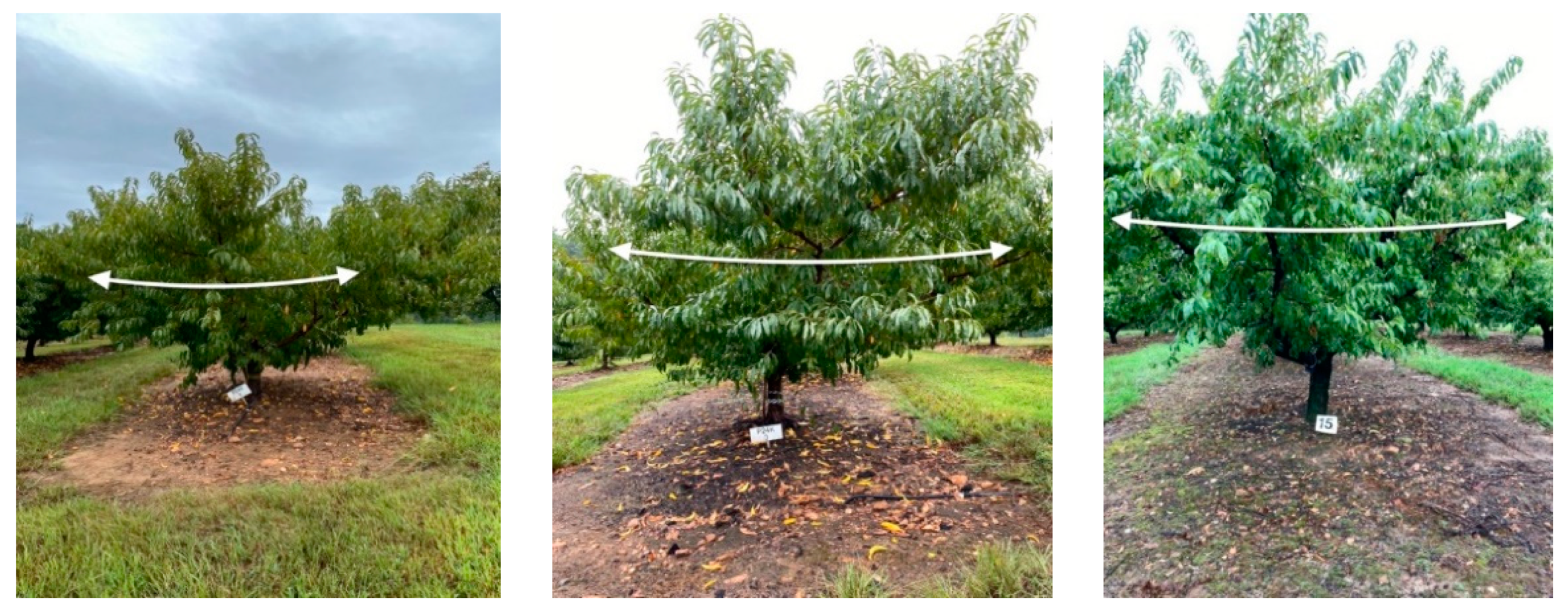 Agriengineering 04 00027 g001