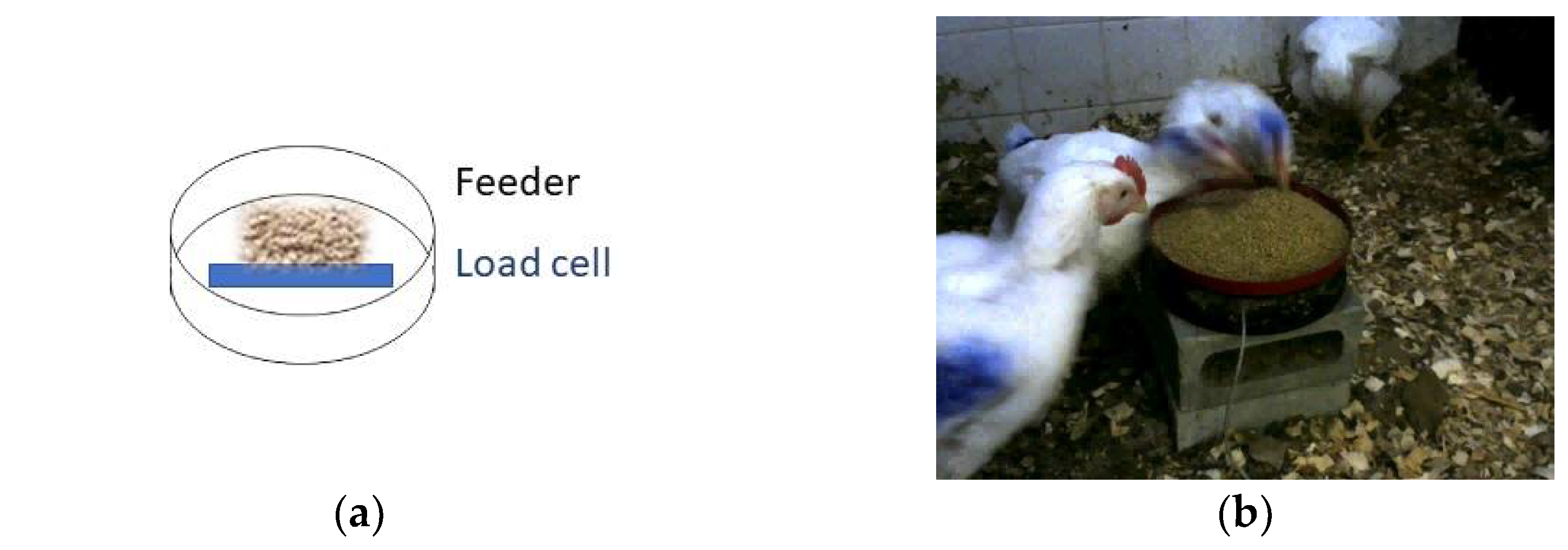 Agriengineering 04 00051 g001