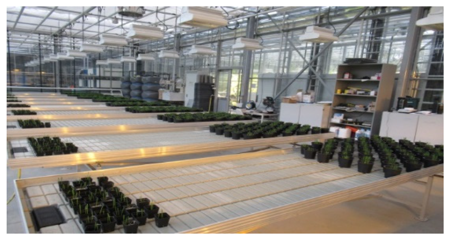 Agriengineering 04 00067 g002