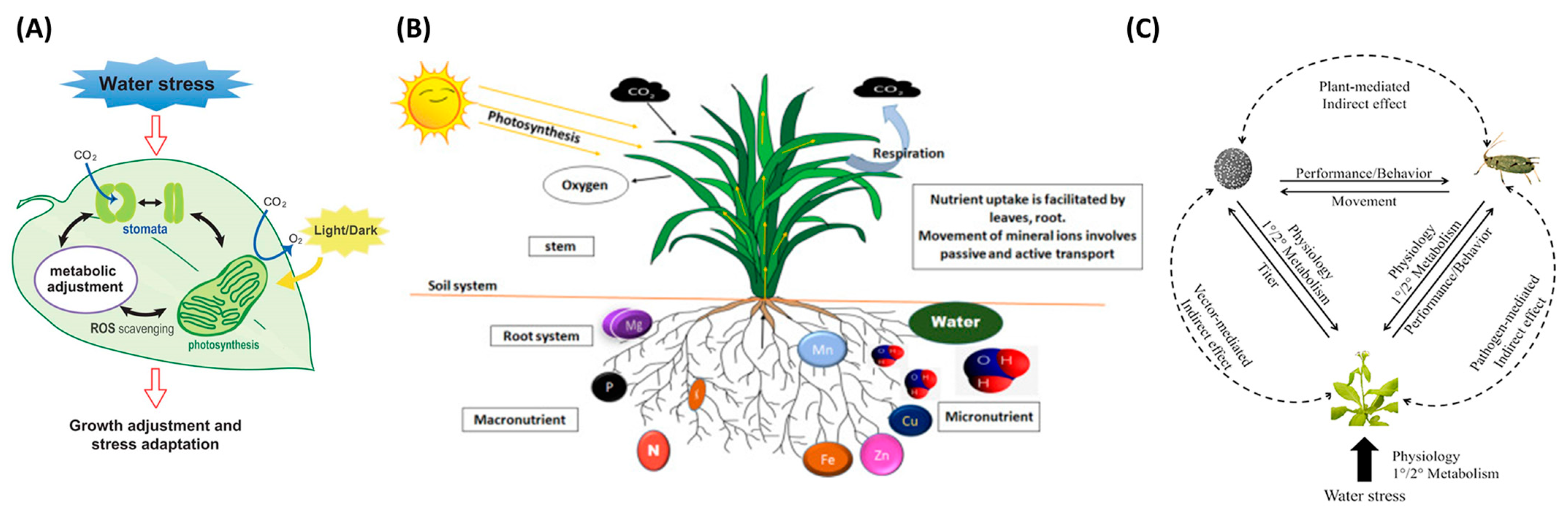 Agriengineering 05 00003 g001
