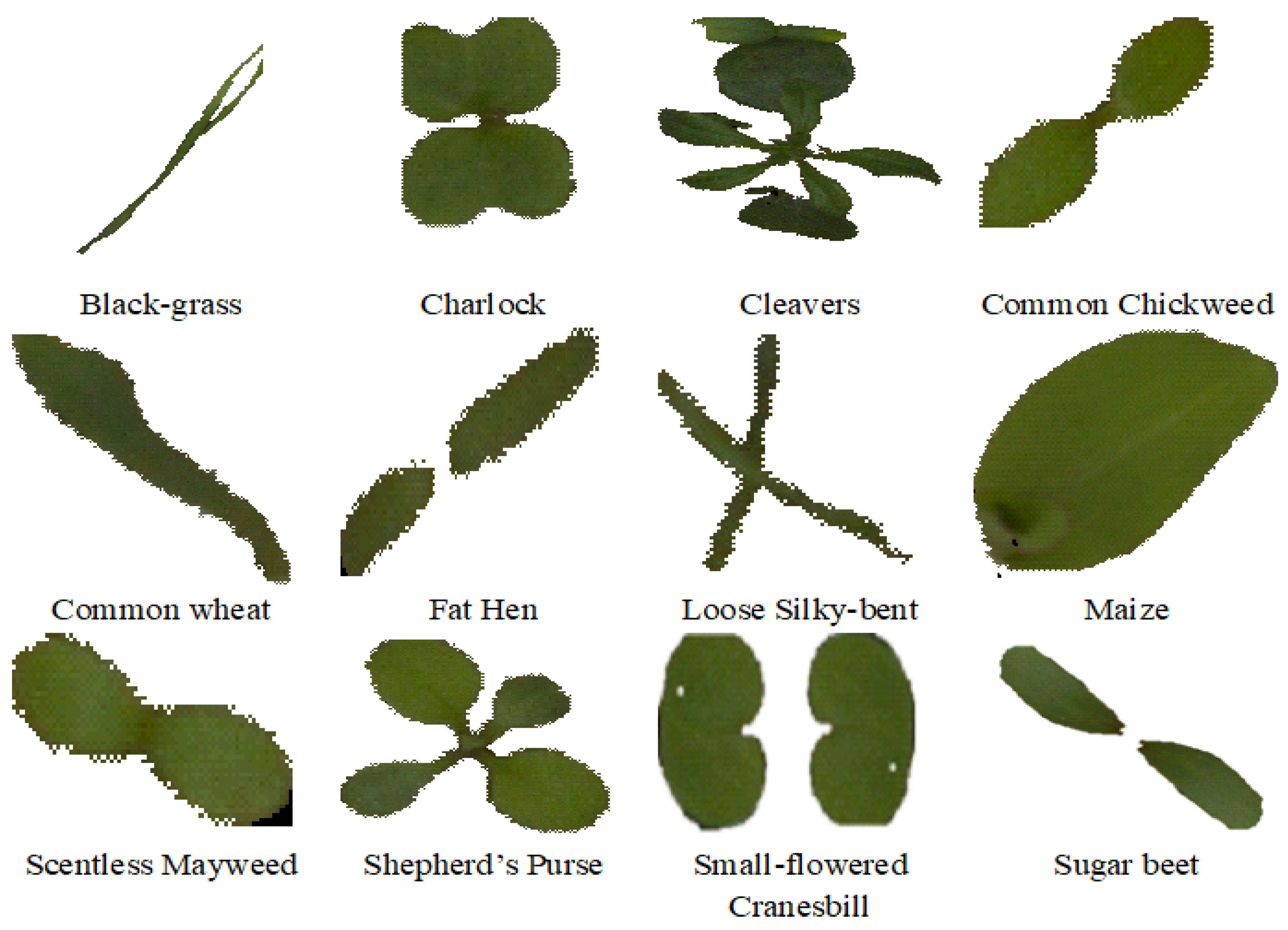 Agriengineering 05 00017 g005