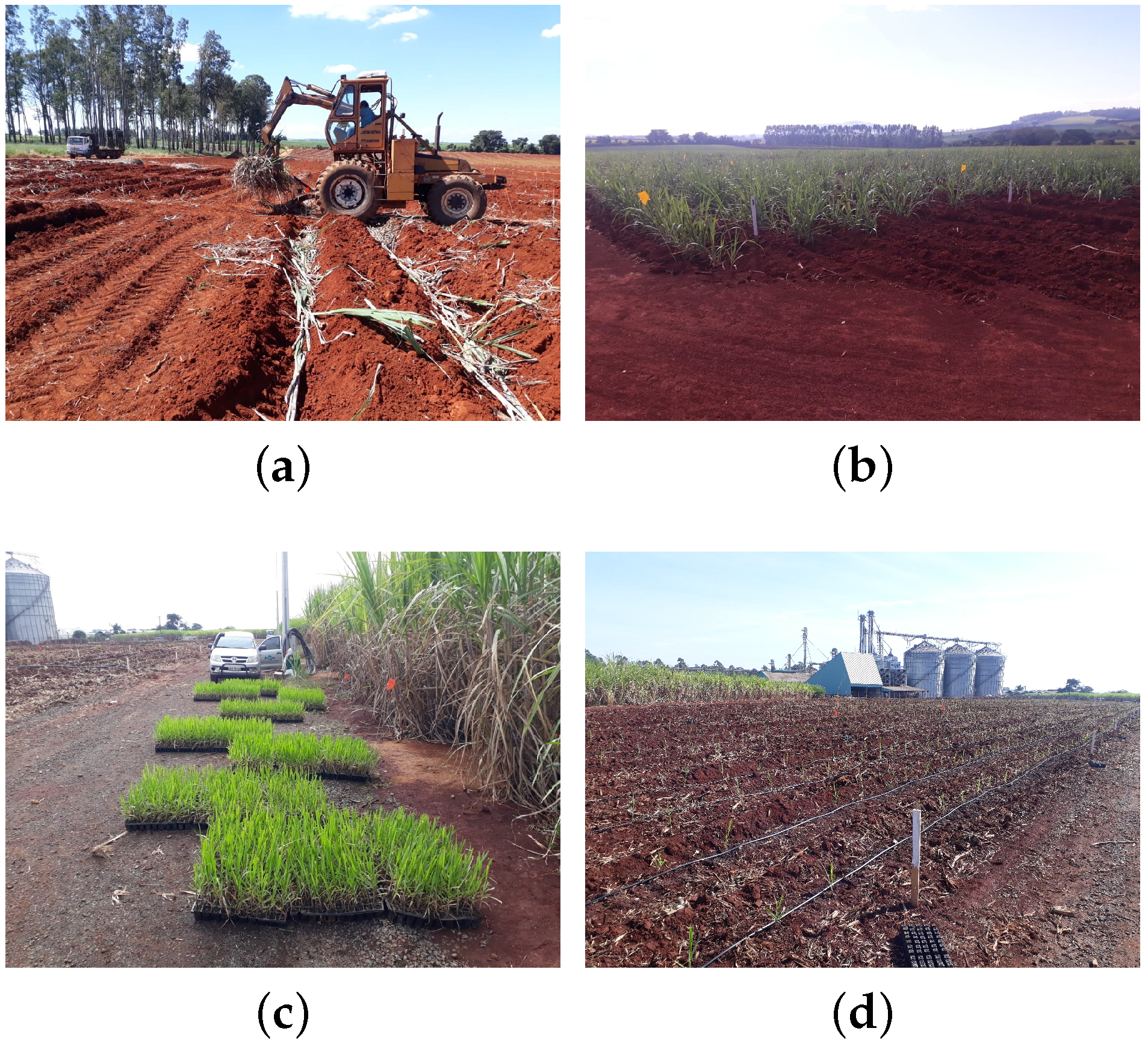 Agriengineering 05 00044 g001