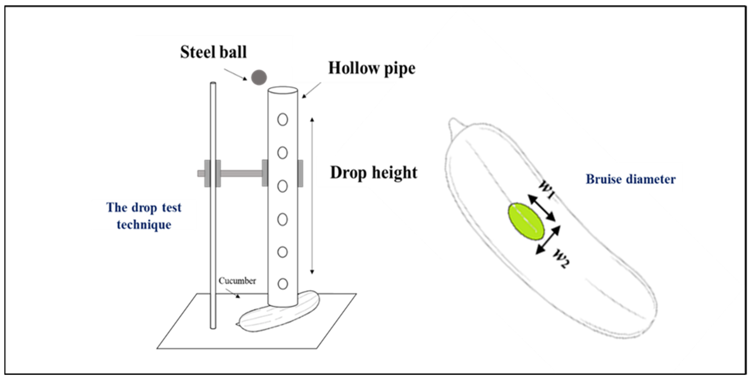 Agriengineering 05 00053 g001