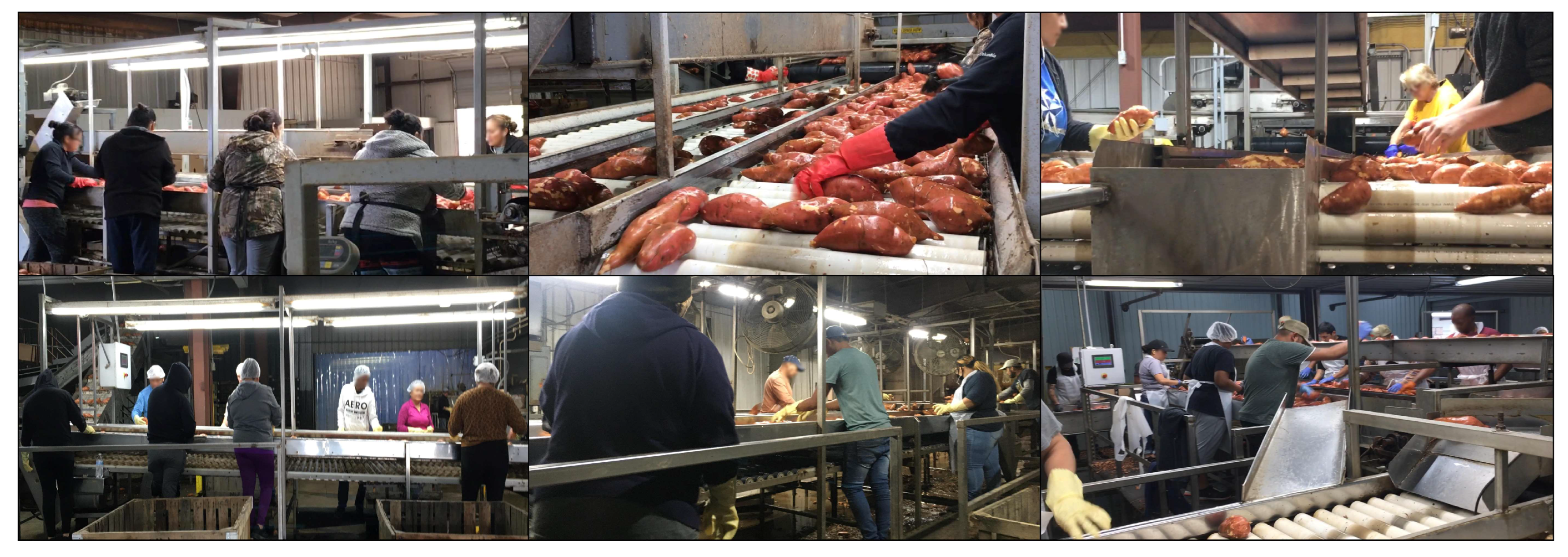 Agriengineering 05 00058 g001