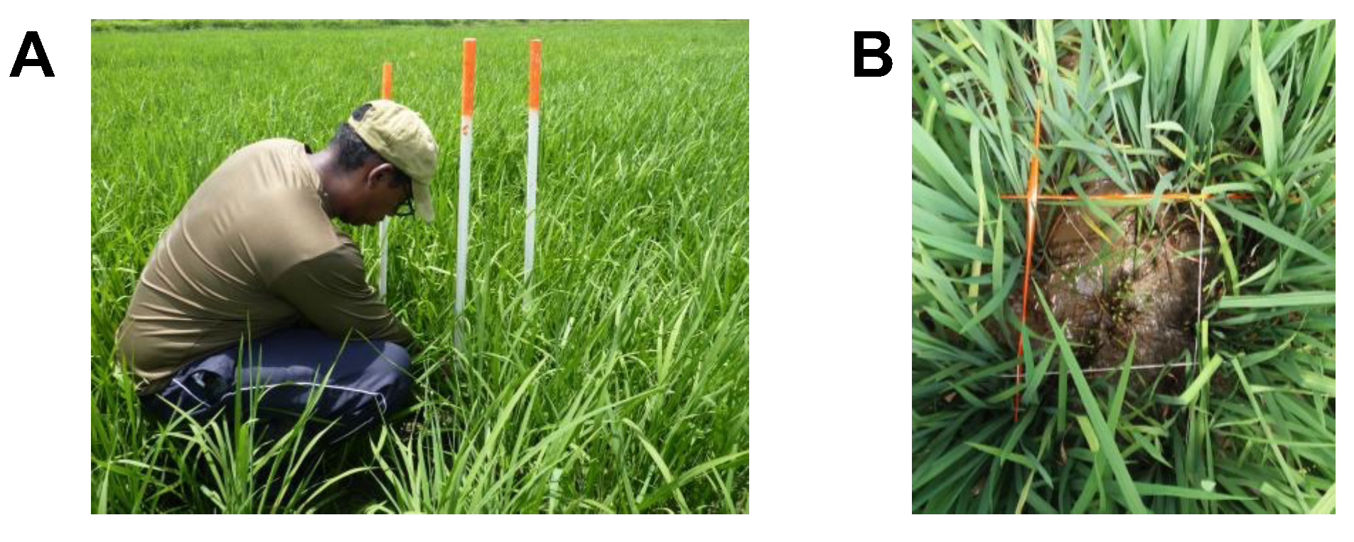 Agriengineering 05 00060 g004