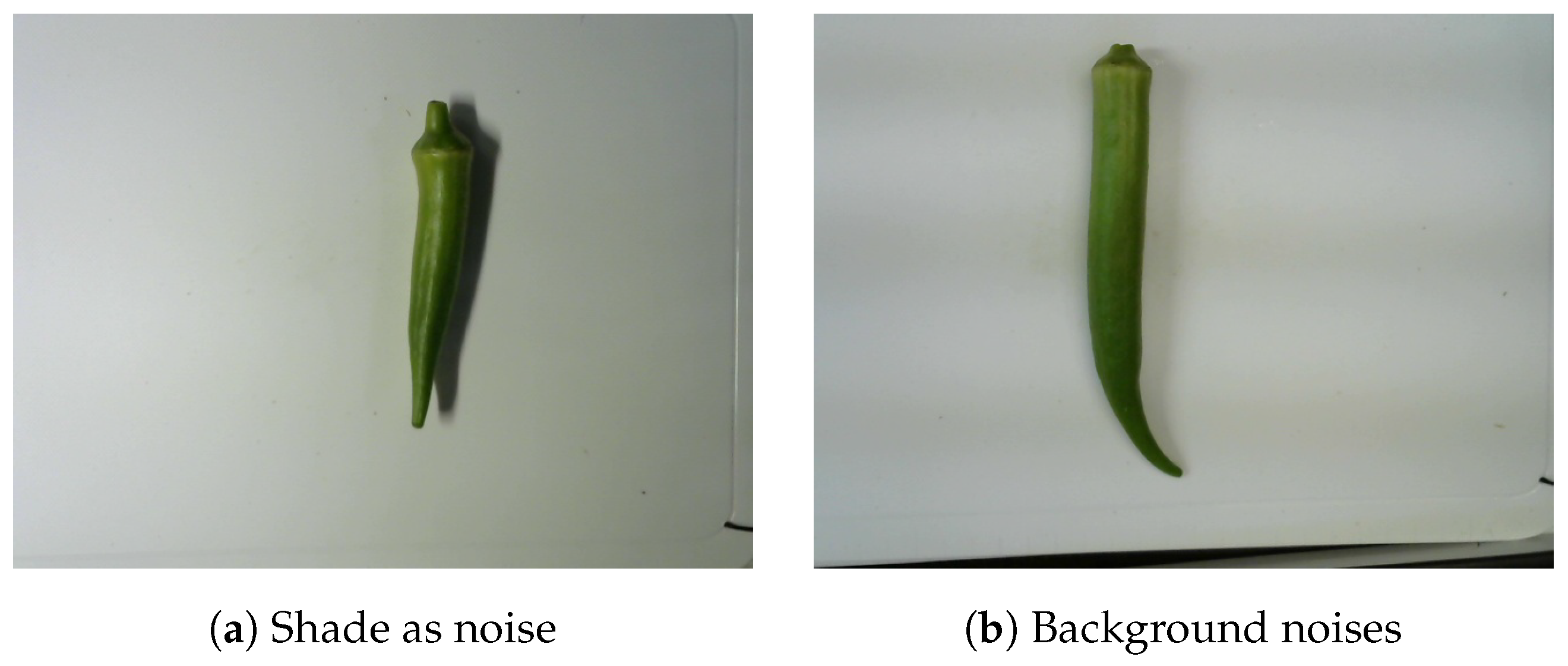 Agriengineering 05 00063 g001