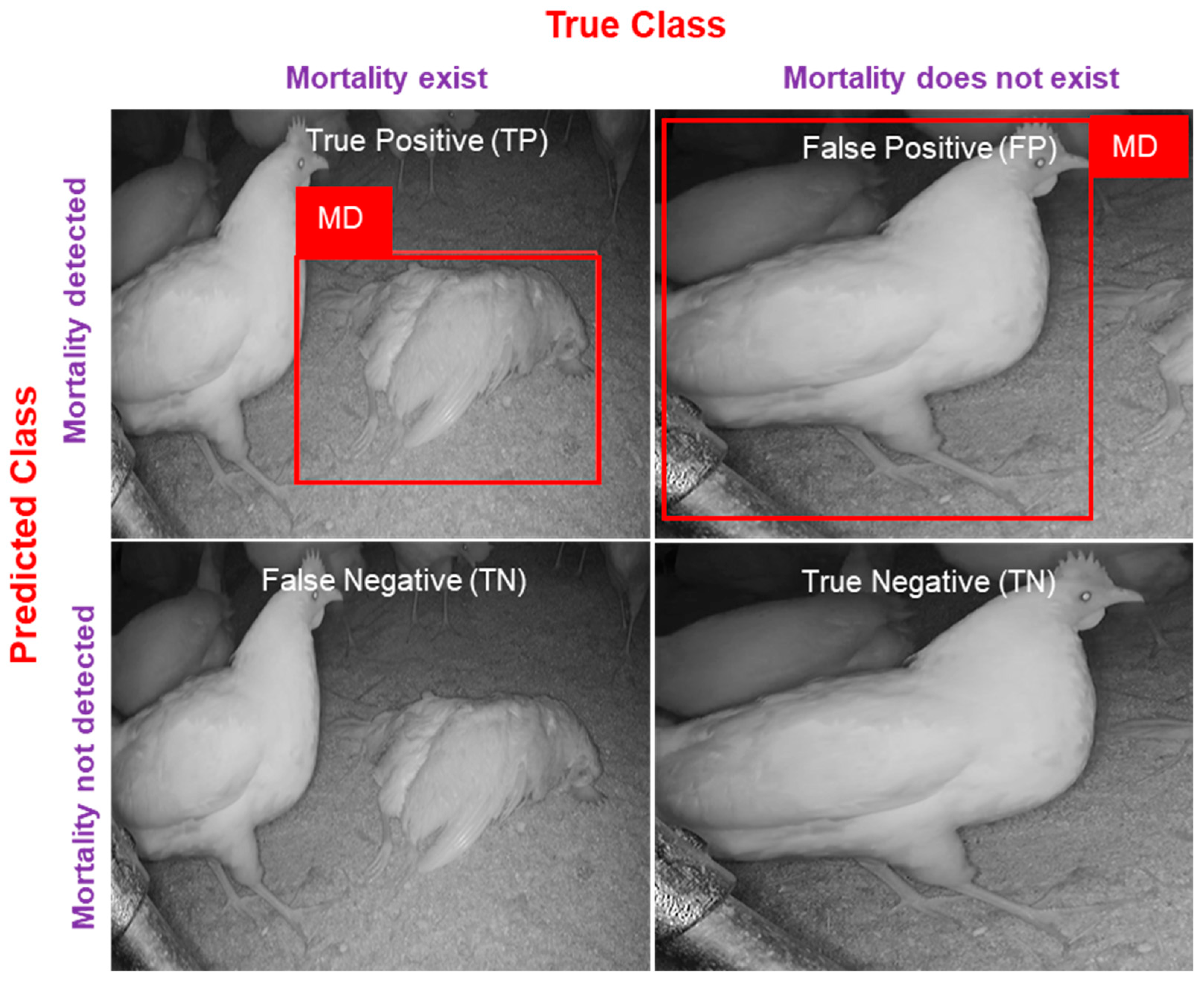 Agriengineering 05 00064 g005
