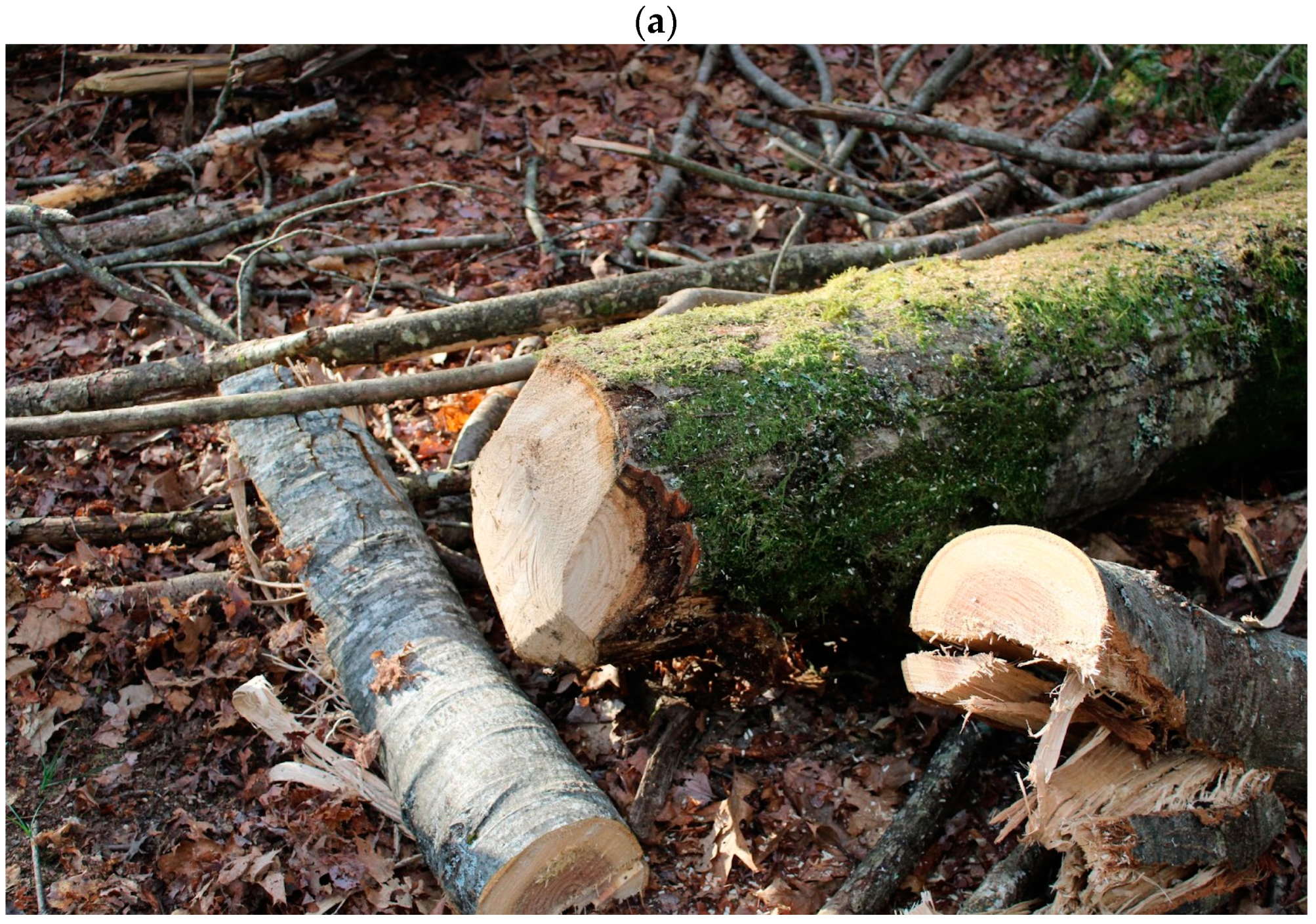 Agriengineering 05 00065 g005a