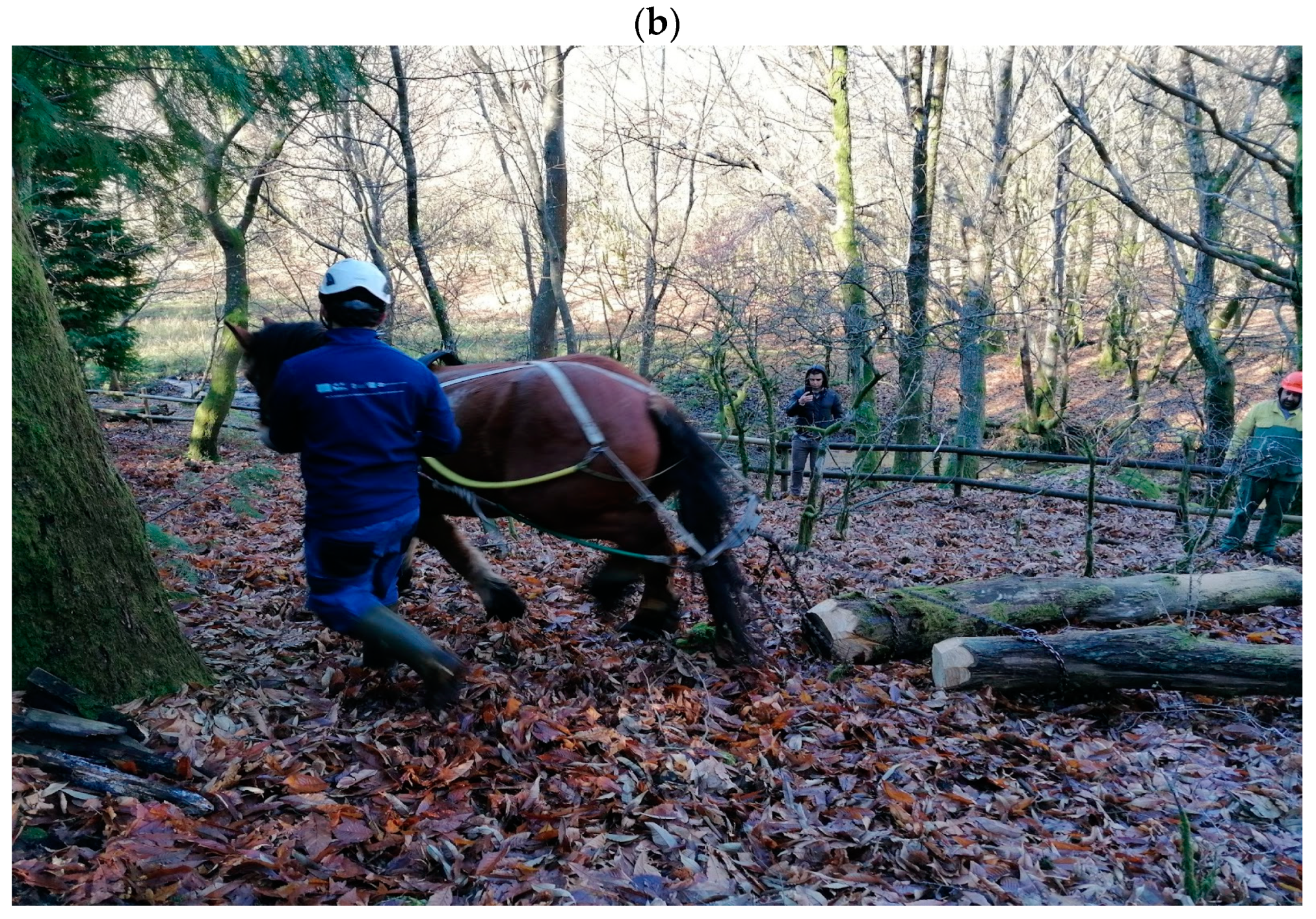 Agriengineering 05 00065 g005b