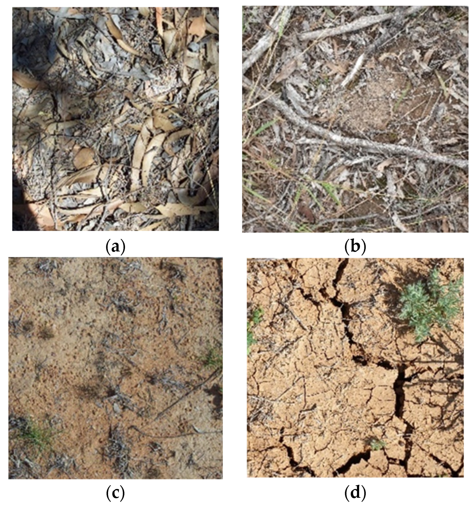 Agriengineering 05 00066 g001a