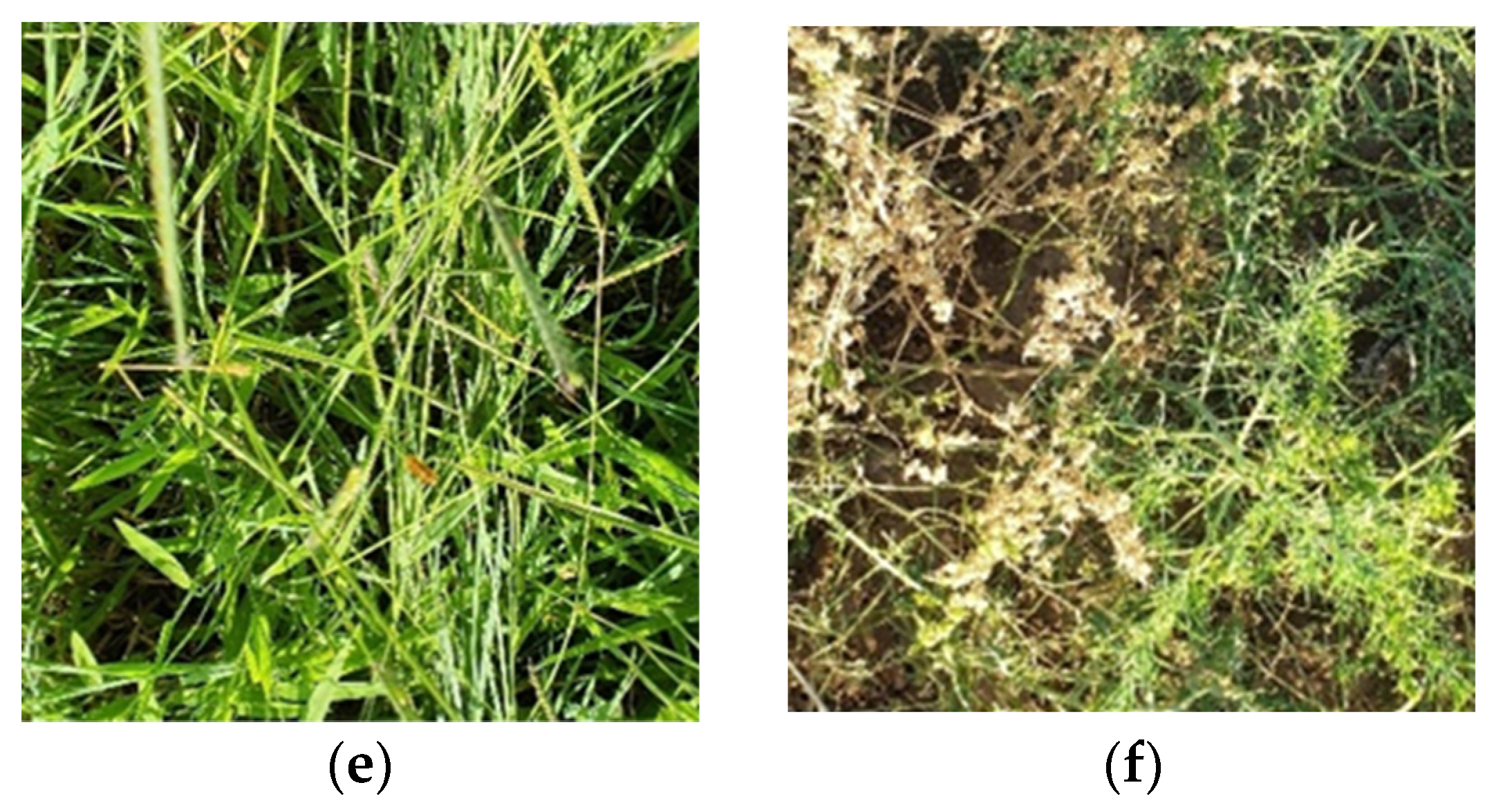 Agriengineering 05 00066 g001b